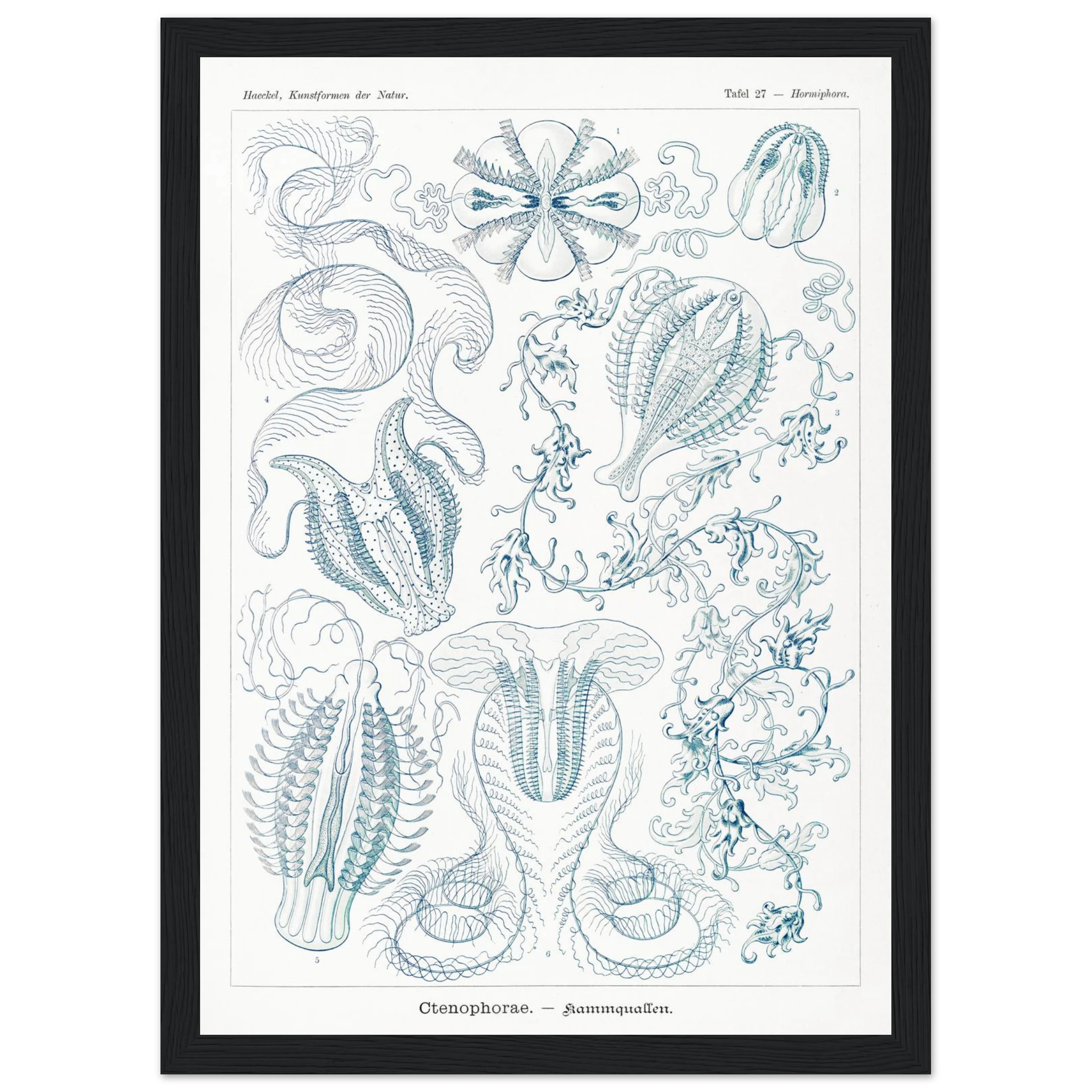 95f7f8de-e587-435f-ae08-5d86a0ac0c48