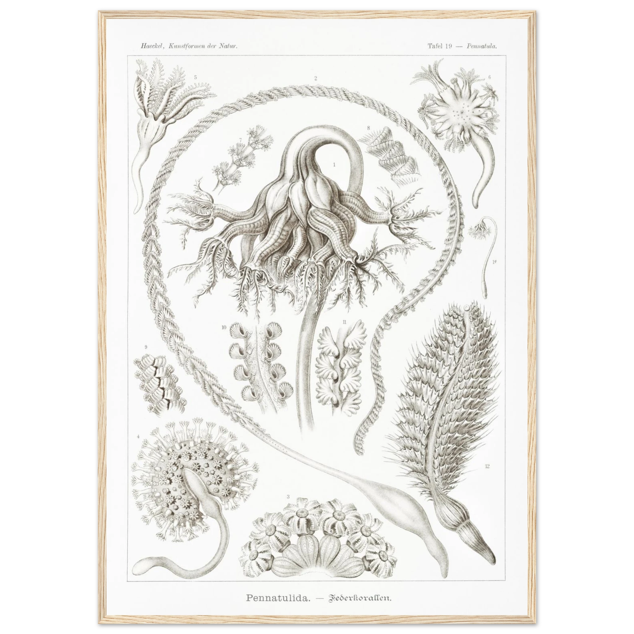 9618e0ab-c8e8-46ff-a358-ed04bfb77ca5