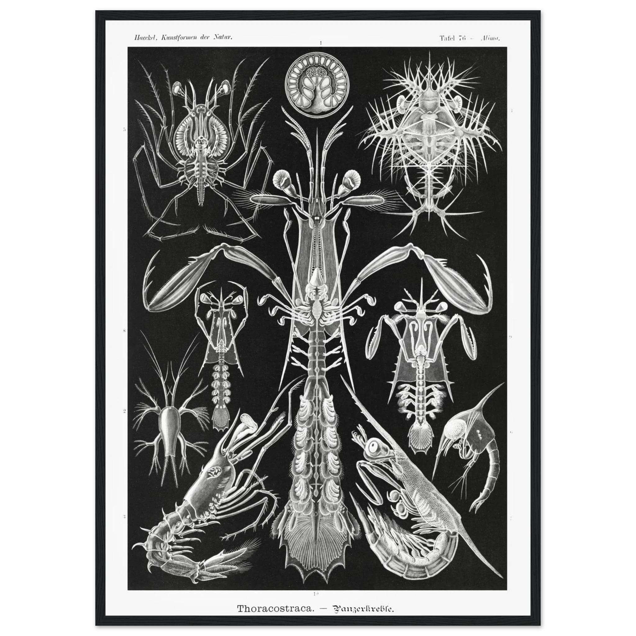 96679023-8fc0-4208-8425-f09bba8249df