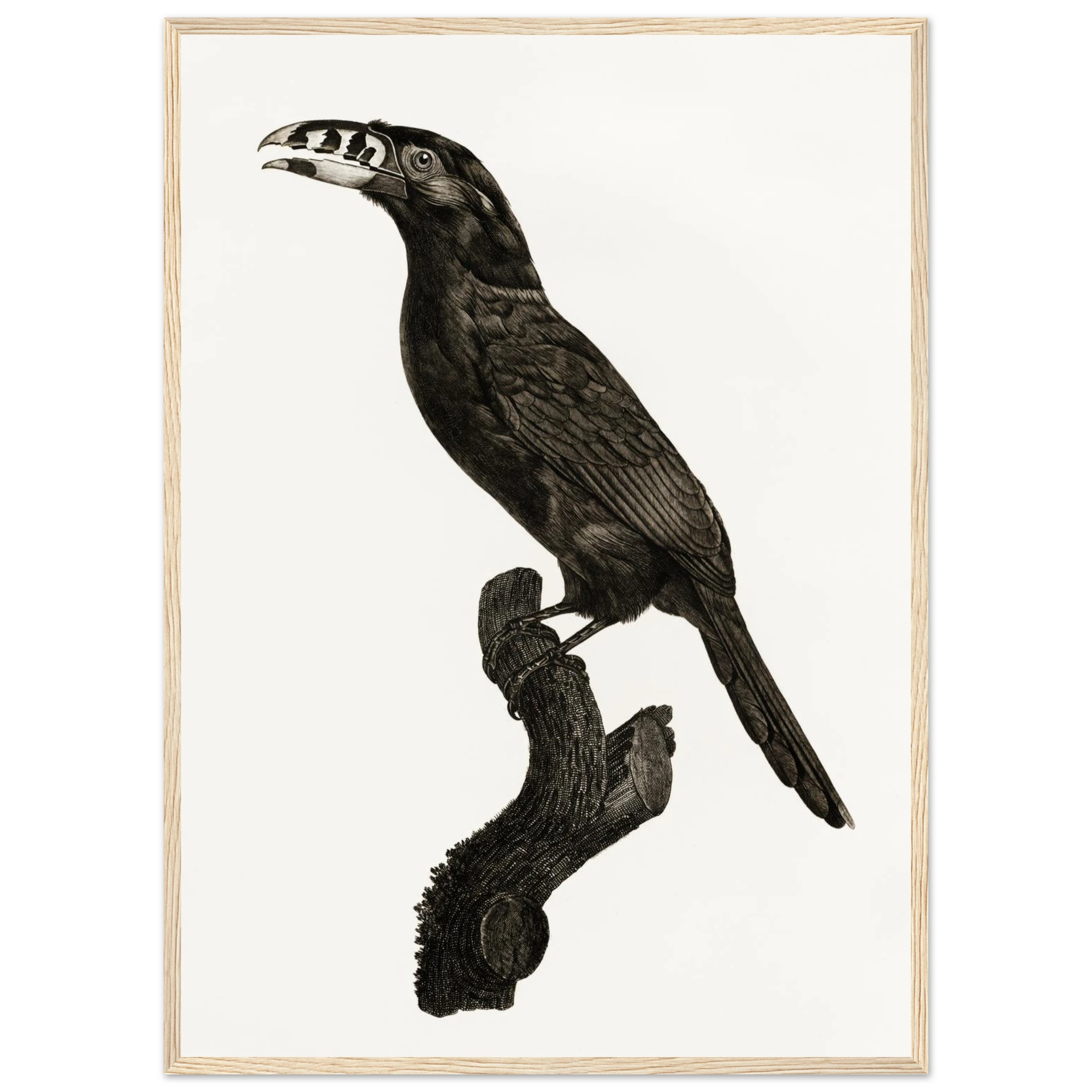 9673b7ba-bb4e-428d-ae18-2d82b8010731