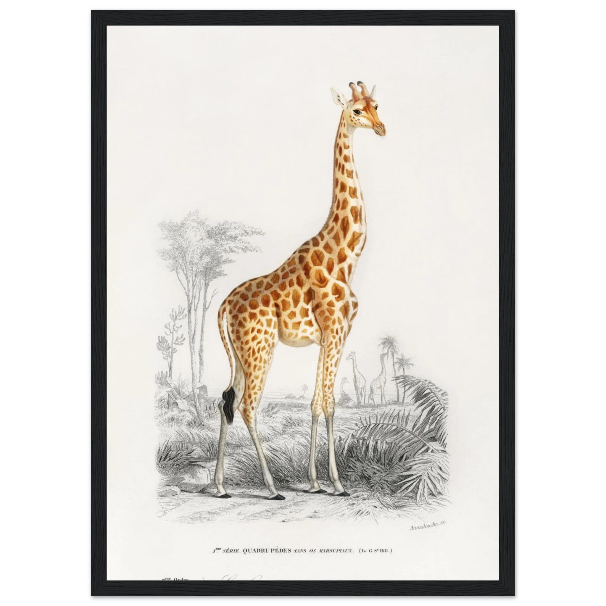 970996c1-63a7-443e-8630-6a9932b604bf