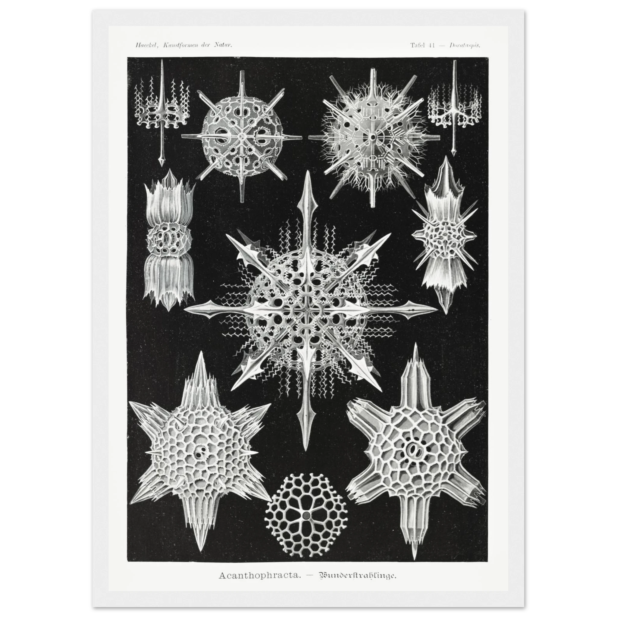 9734da96-2e68-4d83-8a1d-4f76e6f4fa78