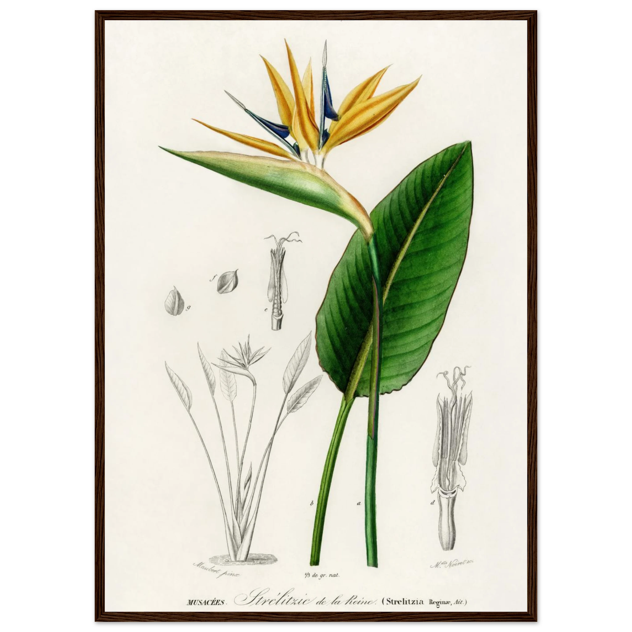 975341f7-2e7d-4a2d-9097-f7e8fcfa0aab