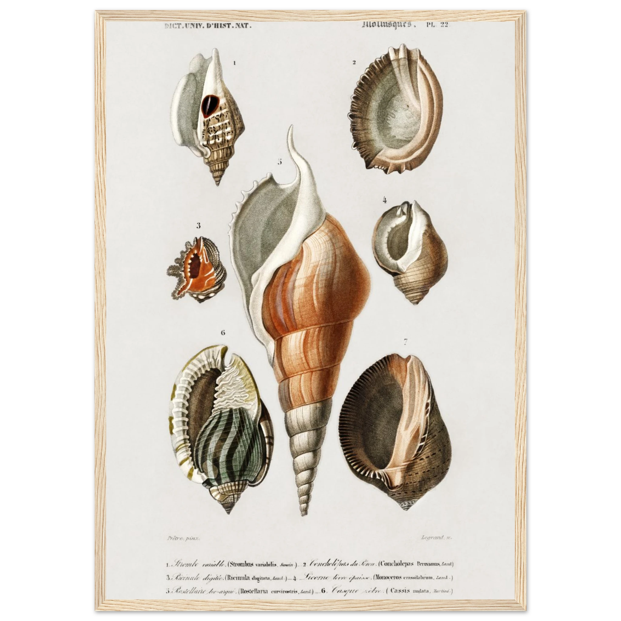 97798784-37f9-4c12-893b-085338e336fa