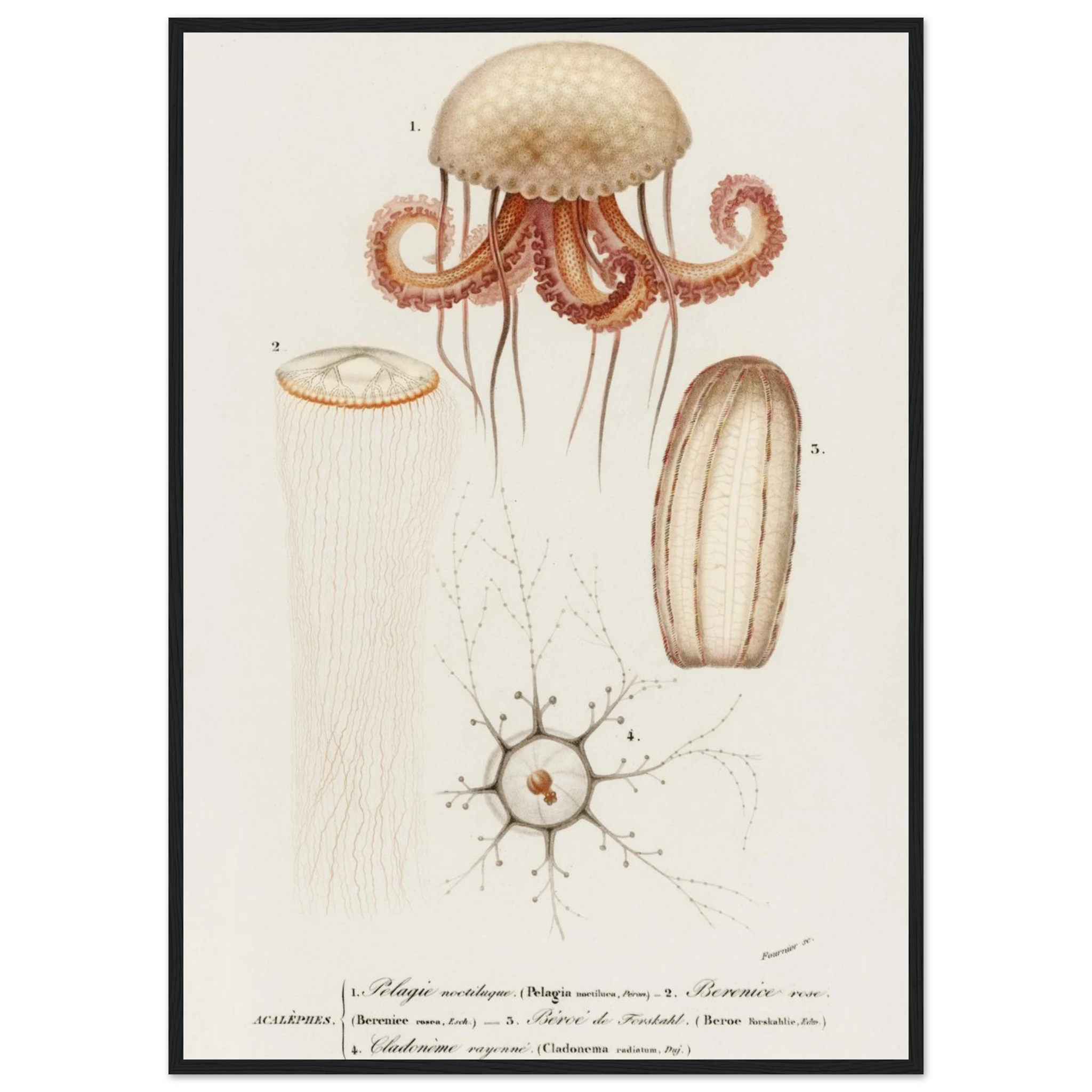 97a4cd34-ddbc-4f7e-a8d2-bbe6bc4e61d3