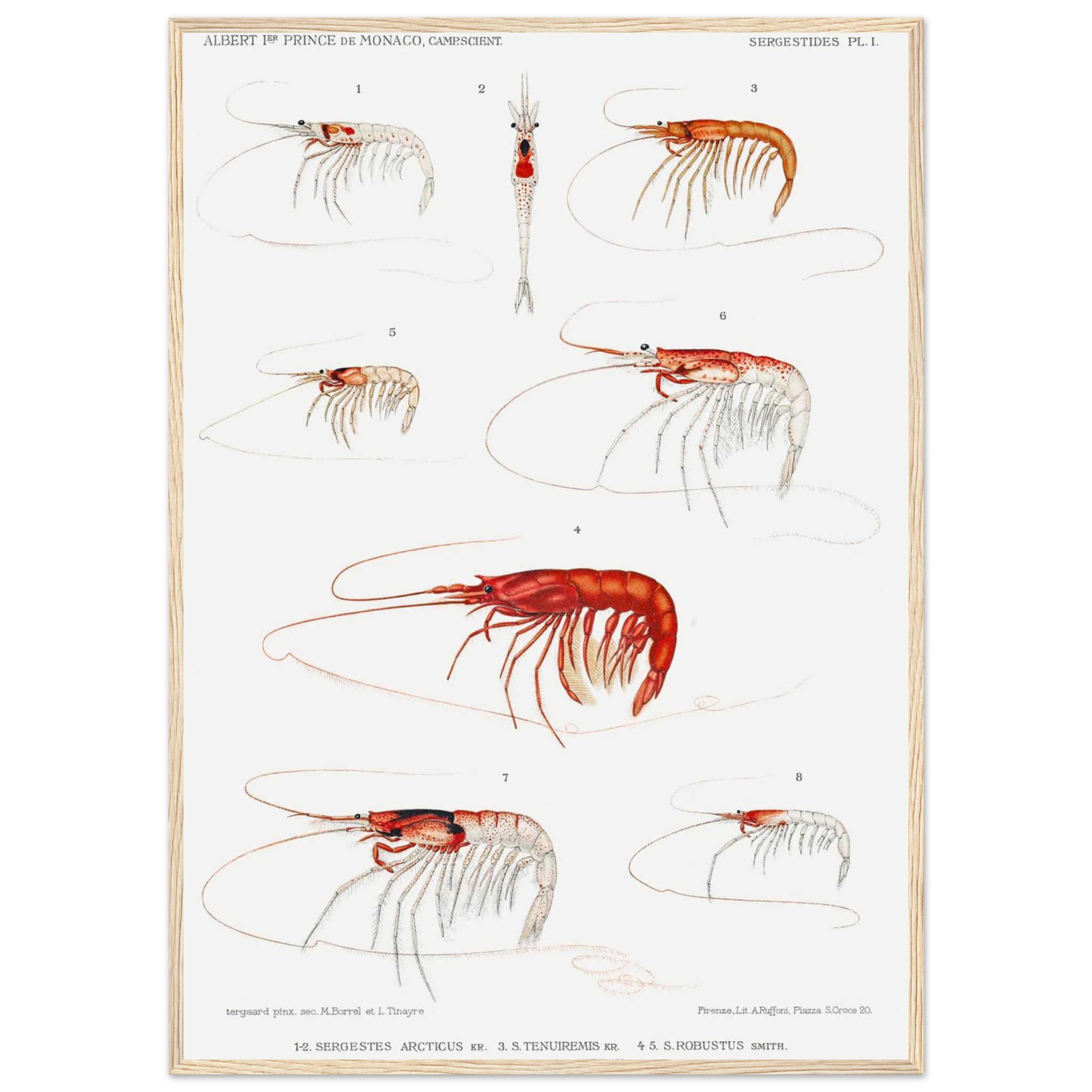 97f488d7-3101-4eab-861d-95b858c7d10c