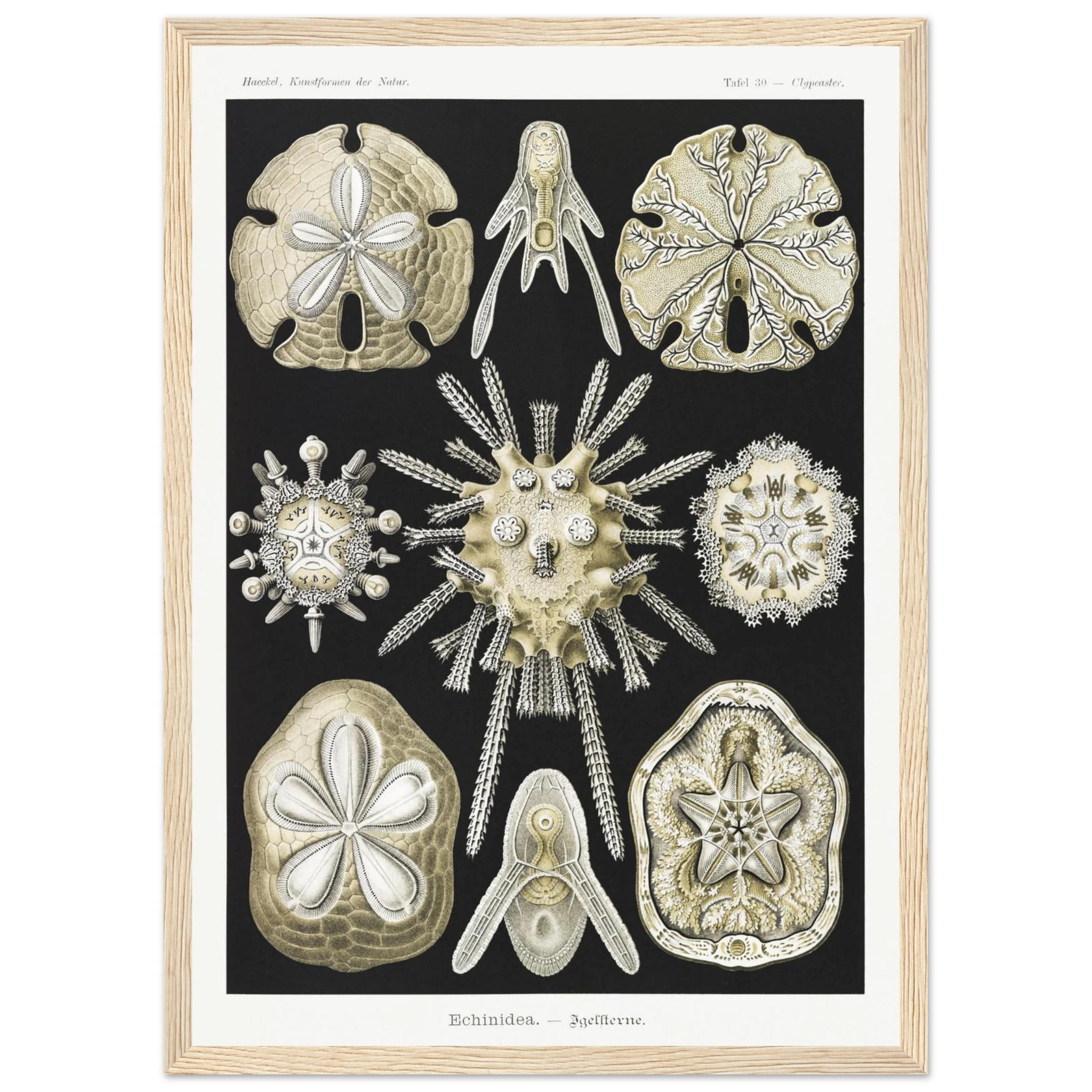 98379818-b218-4fa2-9b10-49811e5d1455