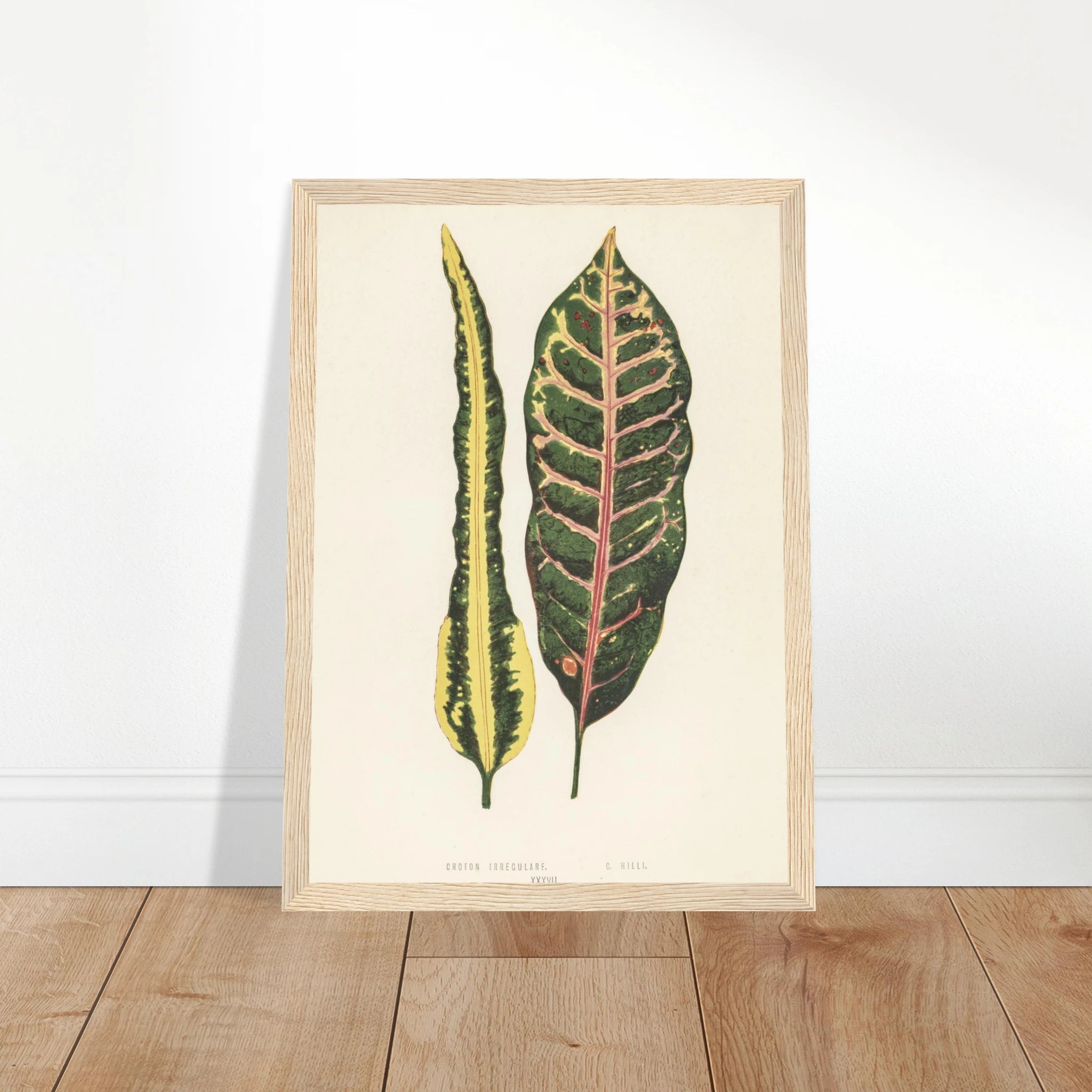 98523ff1-749c-449b-87ff-1cb000e6953c