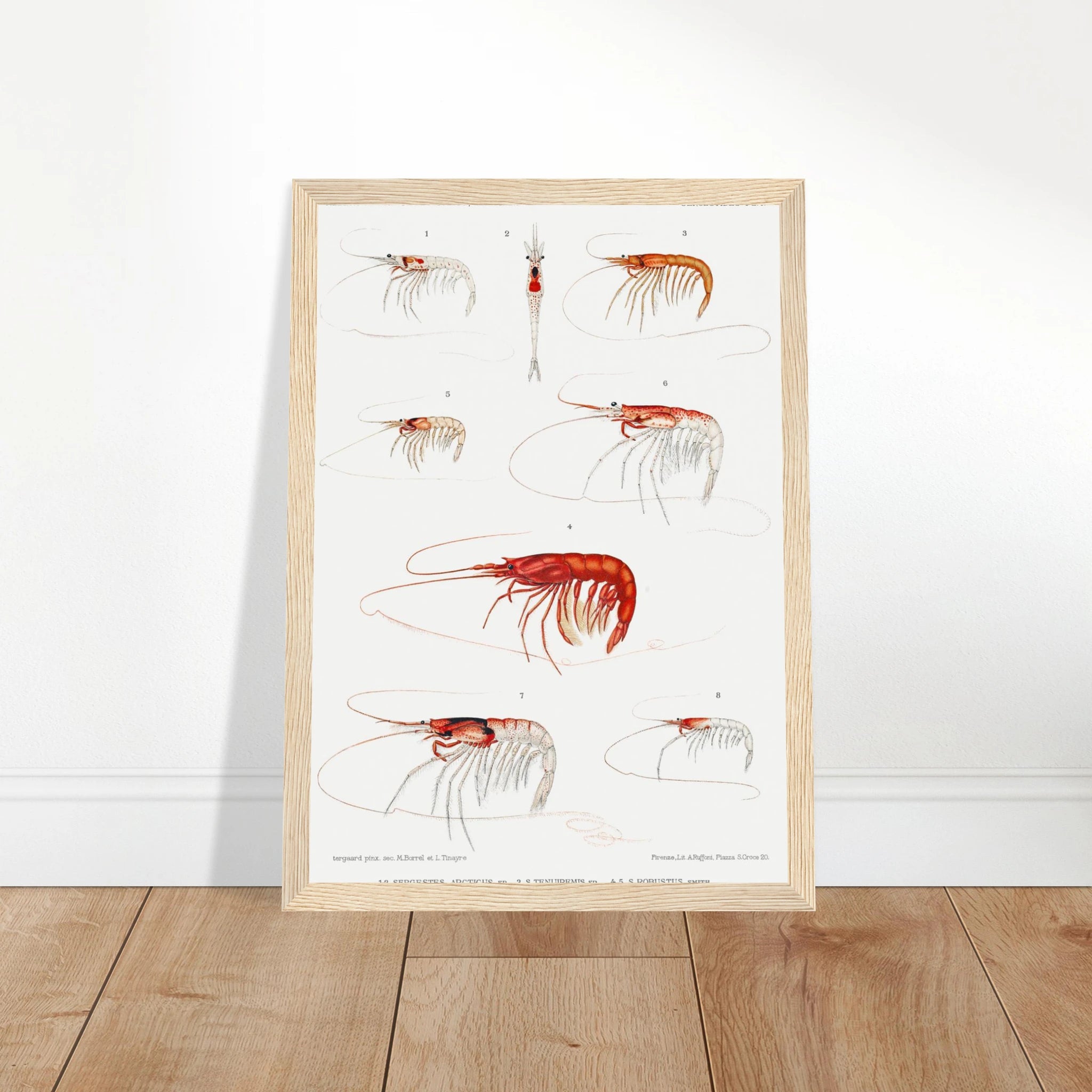 98cd01e1-dad1-443c-b1c0-090fa482e813