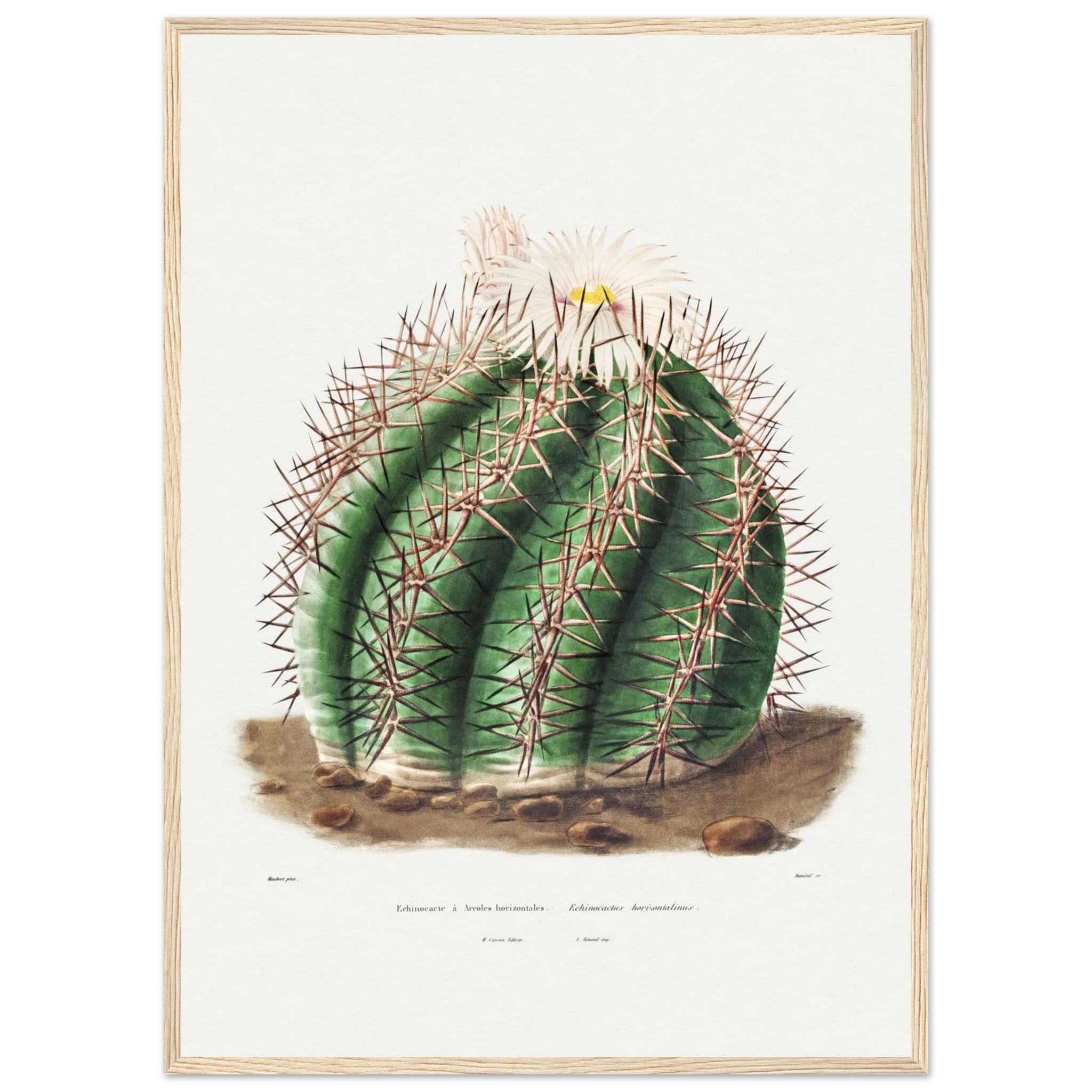 98ce4711-8667-472c-83f9-9c938ec1ab21