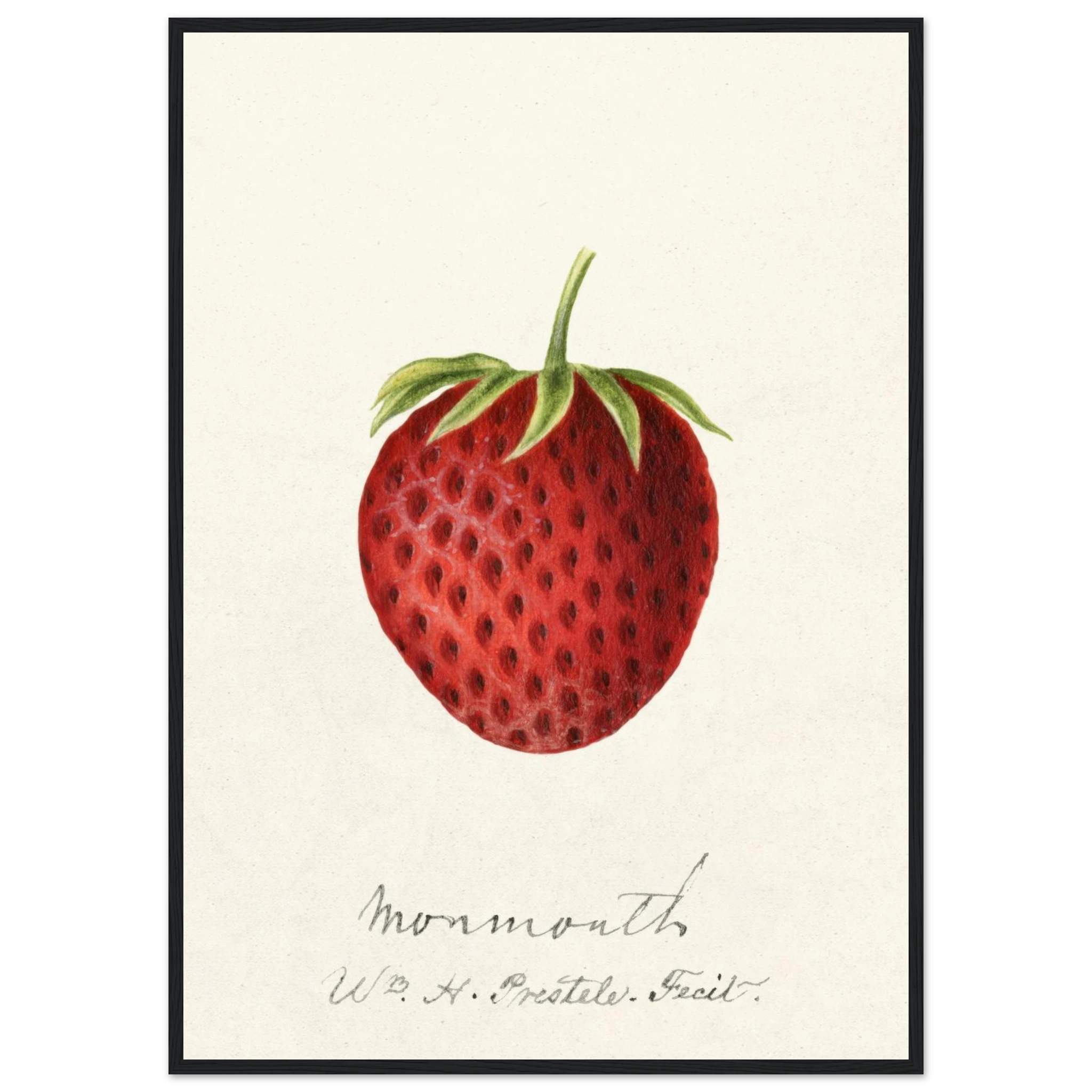 9915d384-f84e-46dd-9438-5be7de9510da