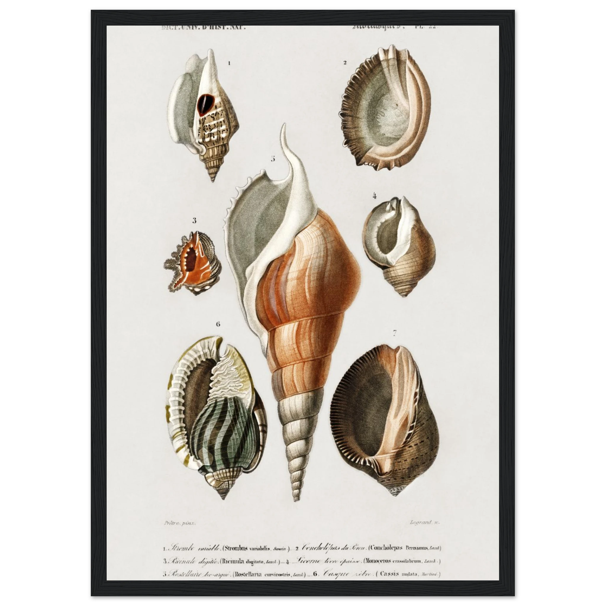 995c3f13-c15f-4306-a05e-62a8446a320a