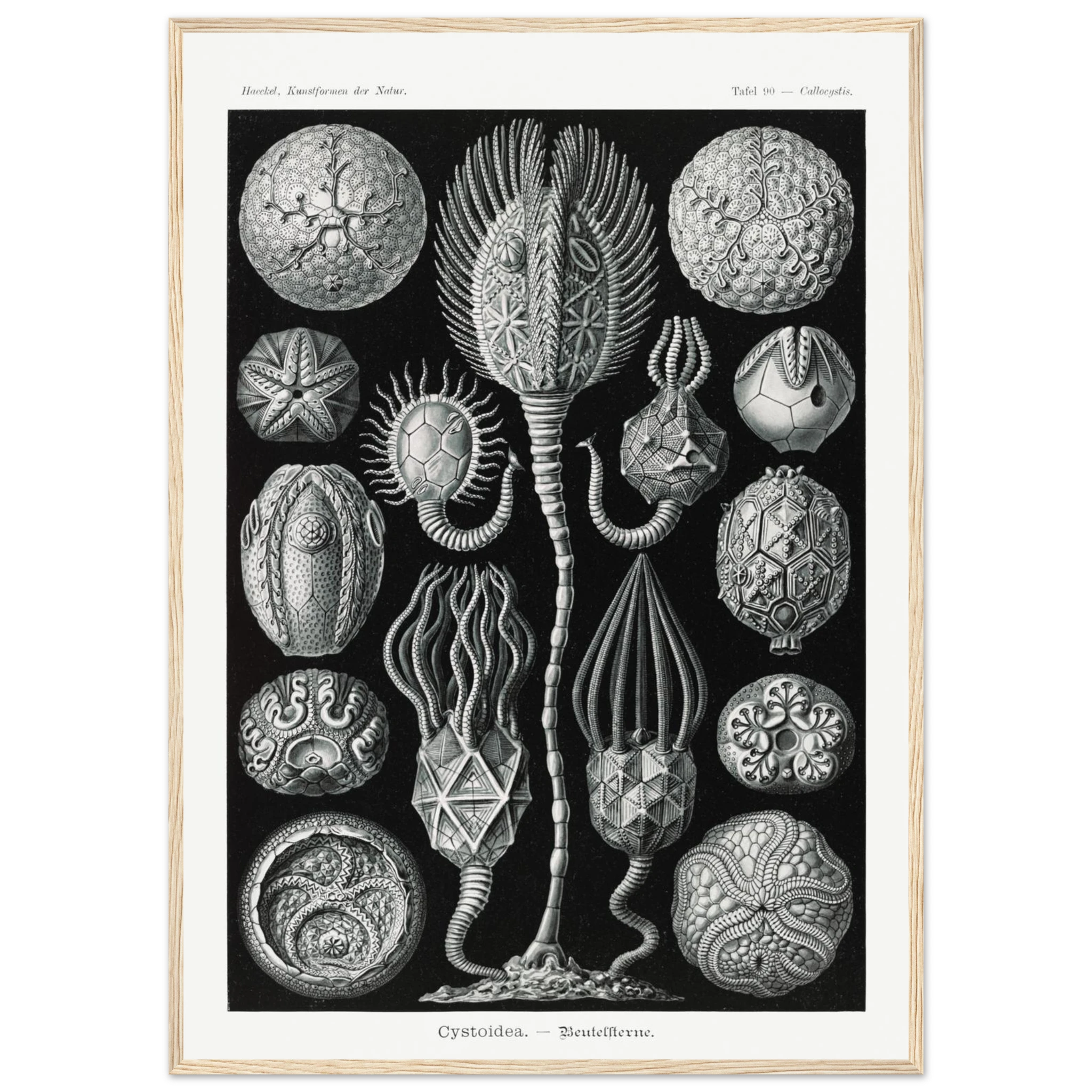 999d1ce3-3bb6-4594-acd1-dbc46ffb45e0