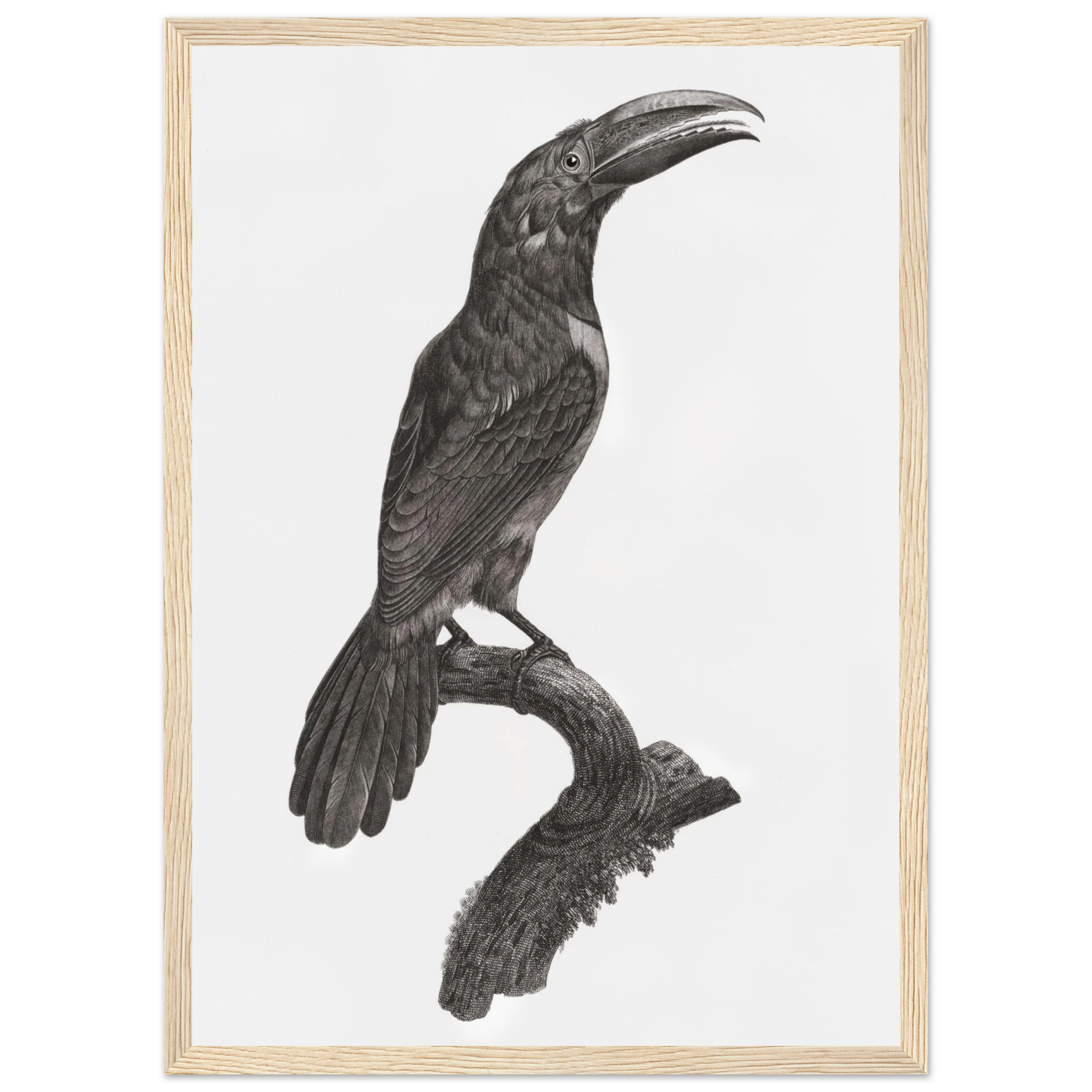 99a70dcd-c425-4116-89b0-6680638b0545