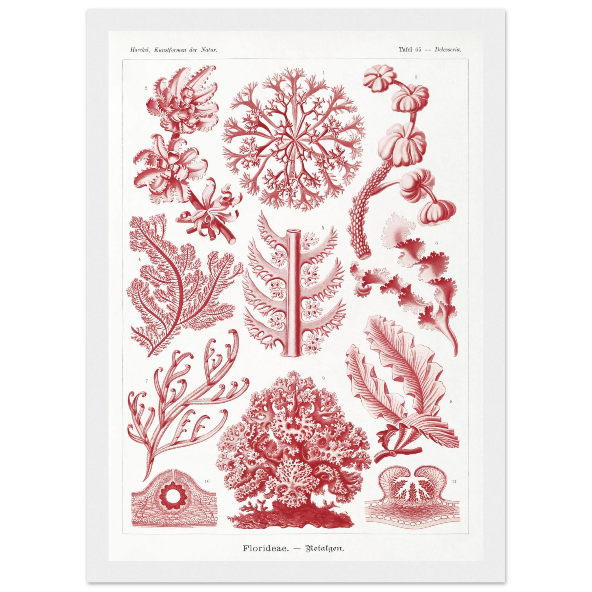 99d9923c-7ebb-4099-858d-713d44b2f666