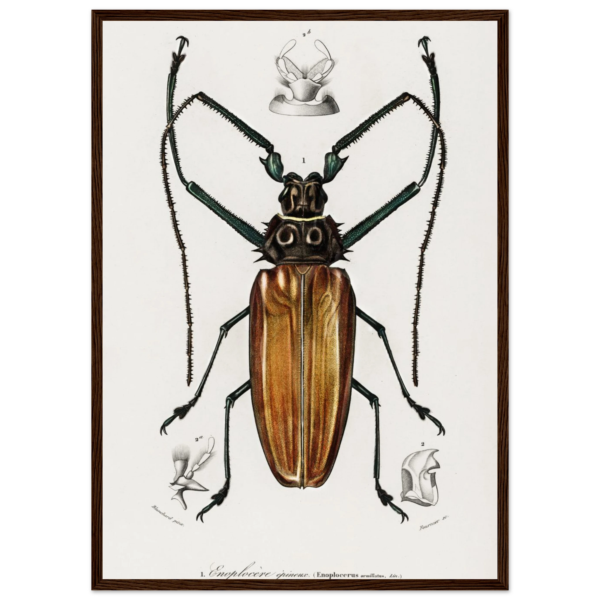 99f0828e-bd43-4e32-b98a-38dcf55219eb