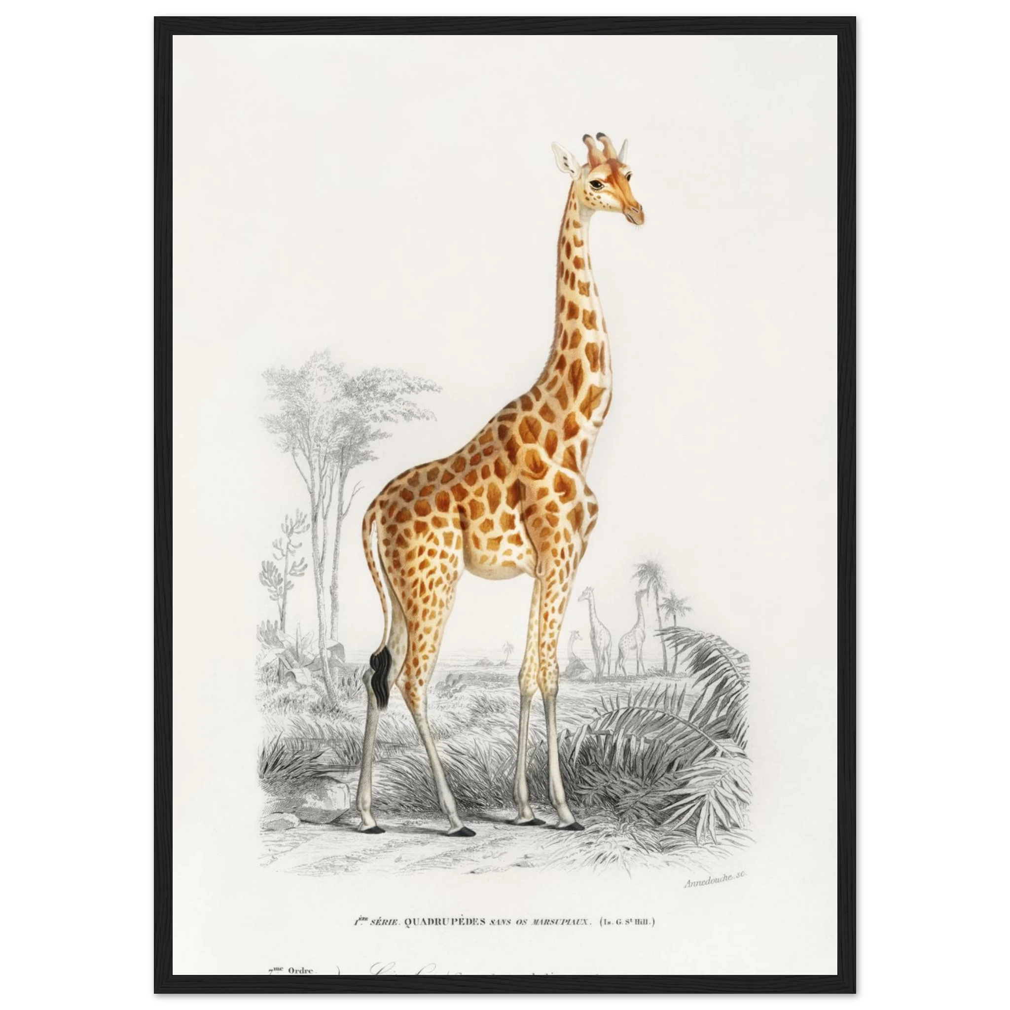 9a6129f0-32bc-4b9b-b652-b01dfd5f46cd