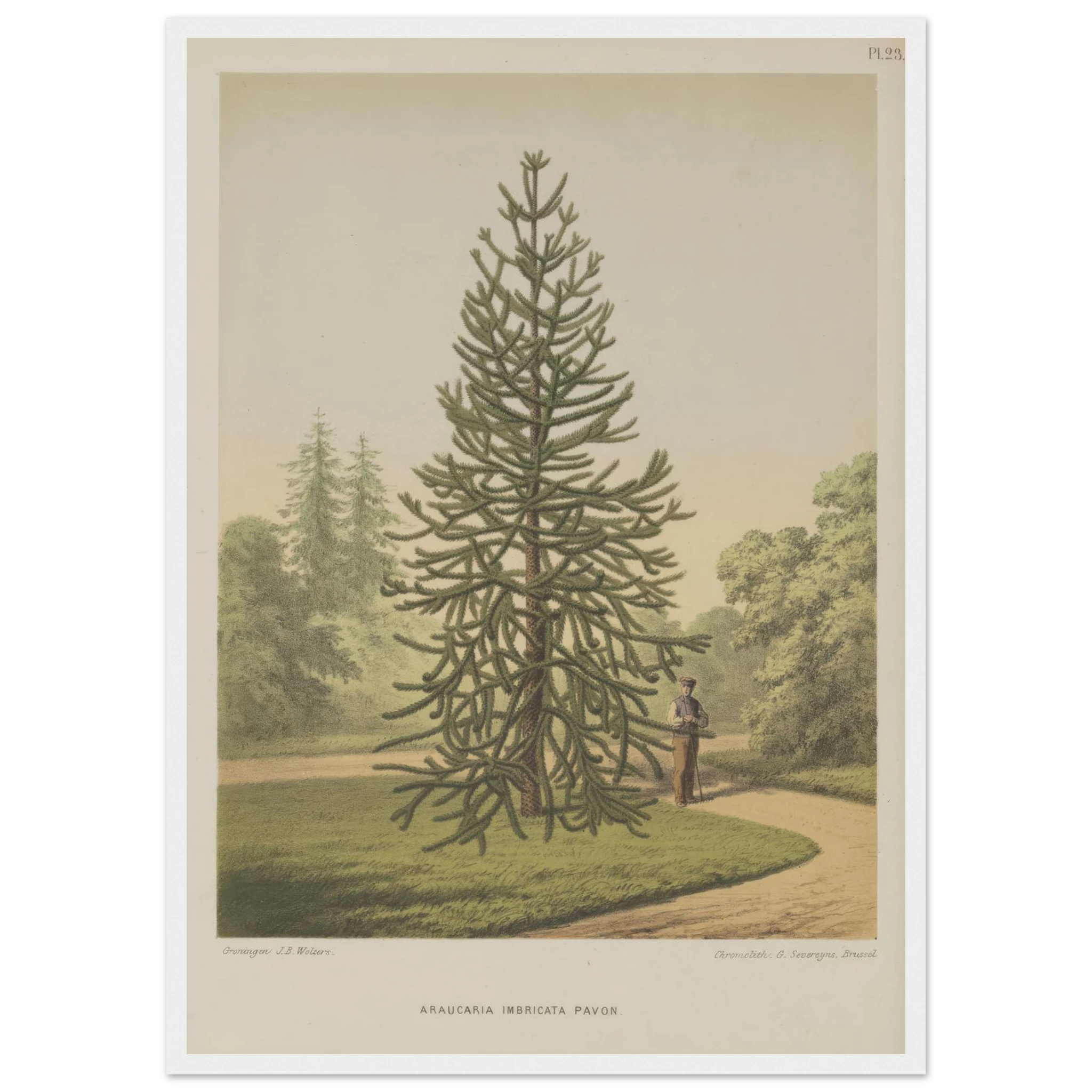 9a78a487-18d0-4cfe-9397-d09af986fc5a