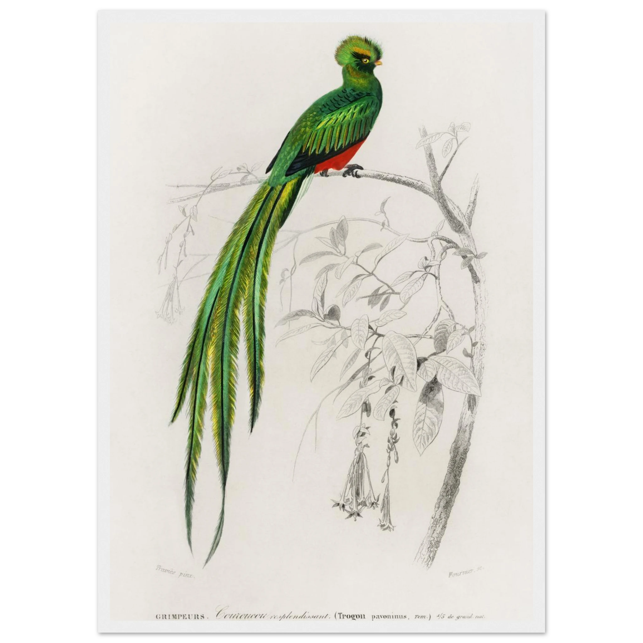 9b7b6b1c-d25c-43af-a0b9-708b855d2da5