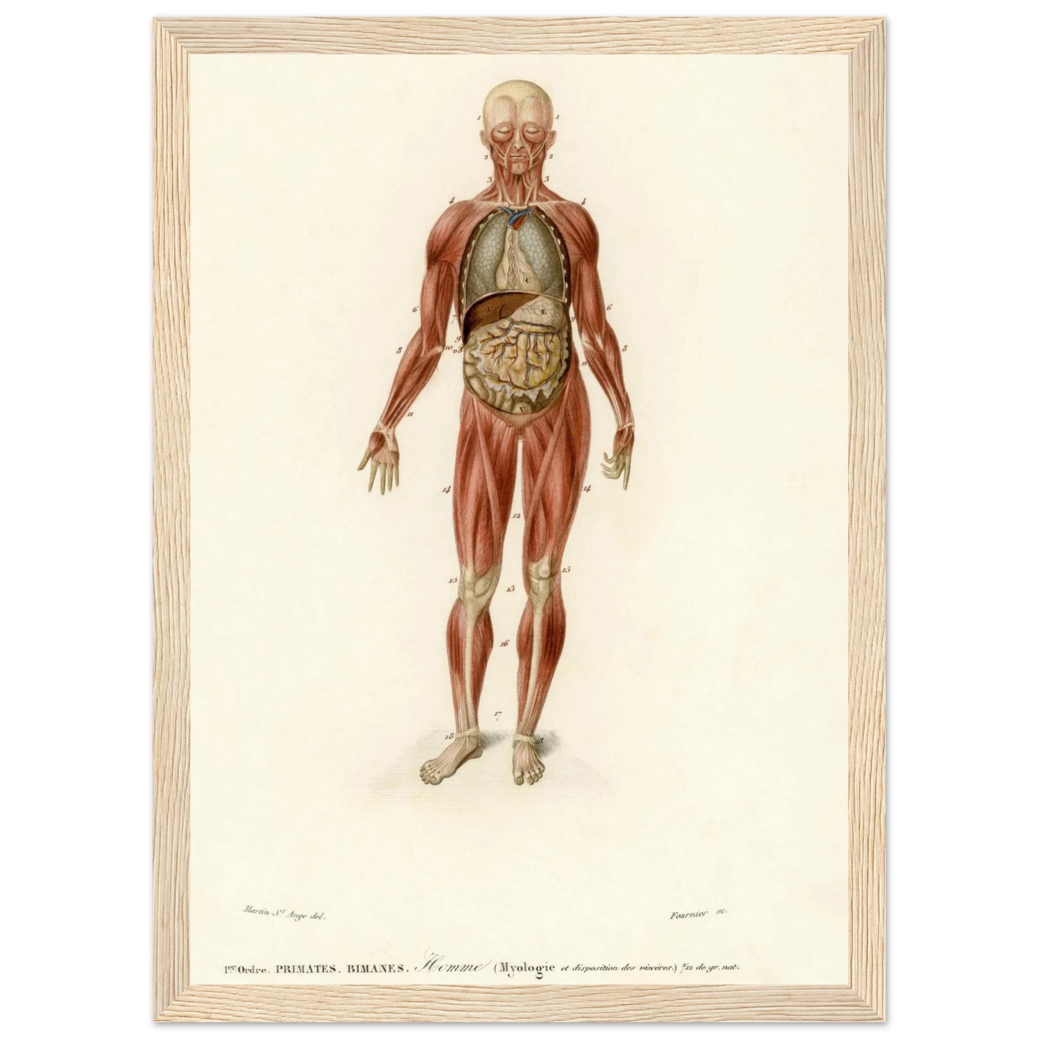 9b800eb0-8757-4fe2-aa21-1e10dd01a4f8