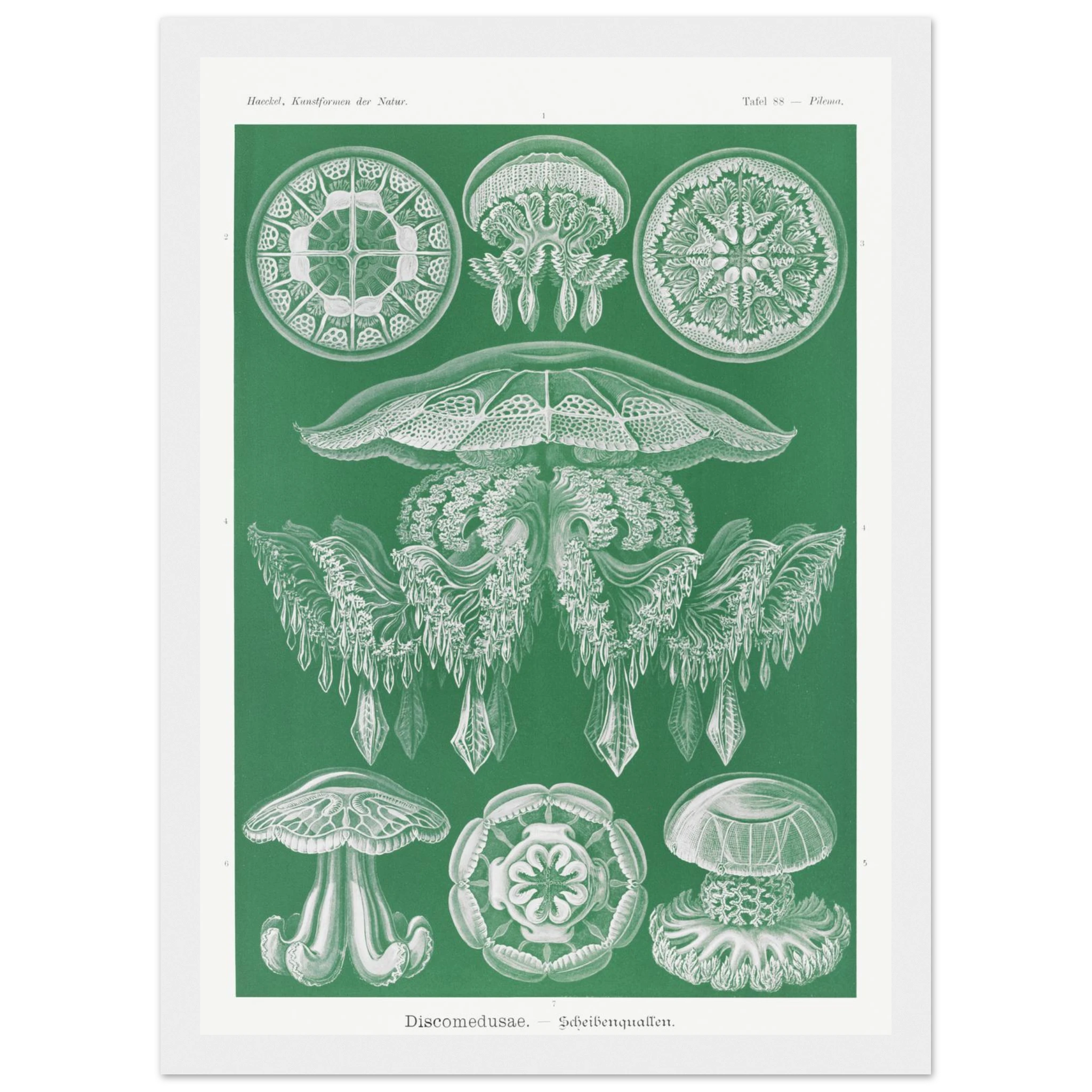 9bae397c-59a5-47c5-ac23-70657d9b5b0e