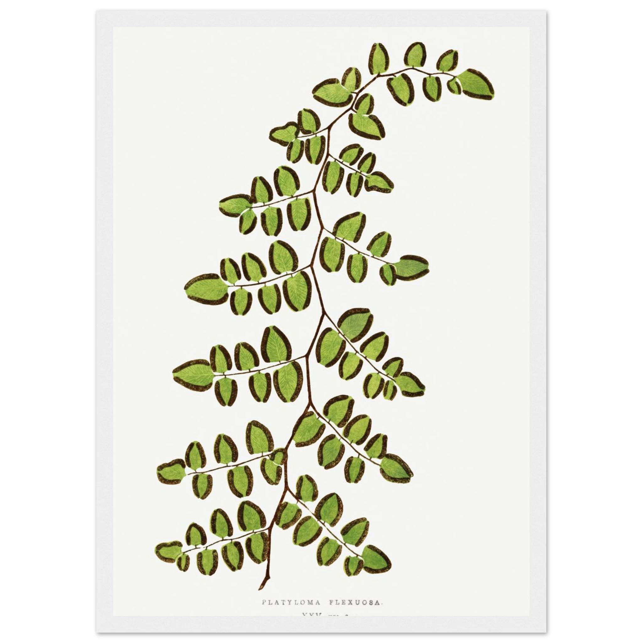 9be645f2-ef52-4e46-a398-2aac0b4d882e