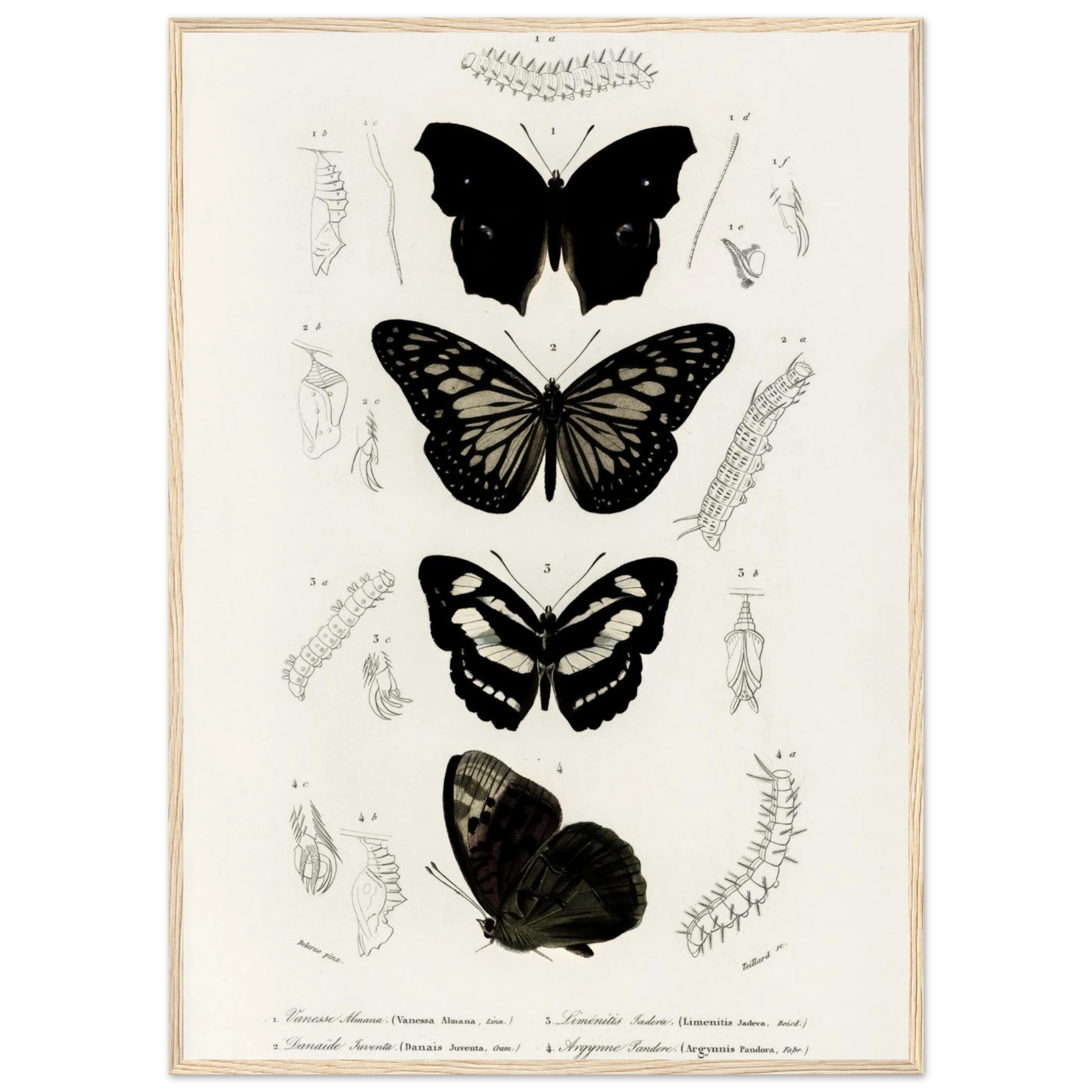 9c520be7-7f00-4708-b6cf-07d9c725f825