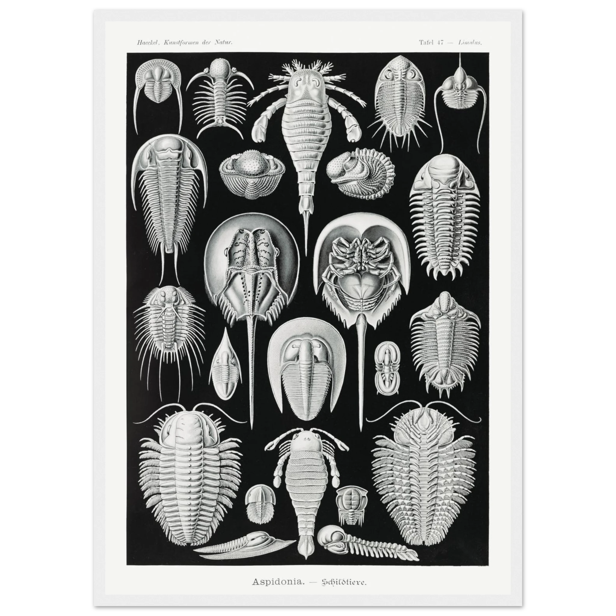 9c554959-e9fb-4789-8338-102457db5ec7