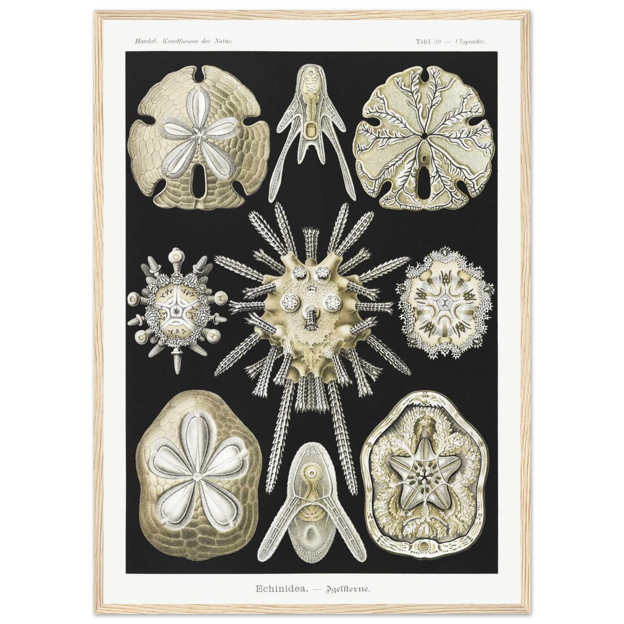 9c652e0b-f775-4a39-8343-9ba2ef0af80e