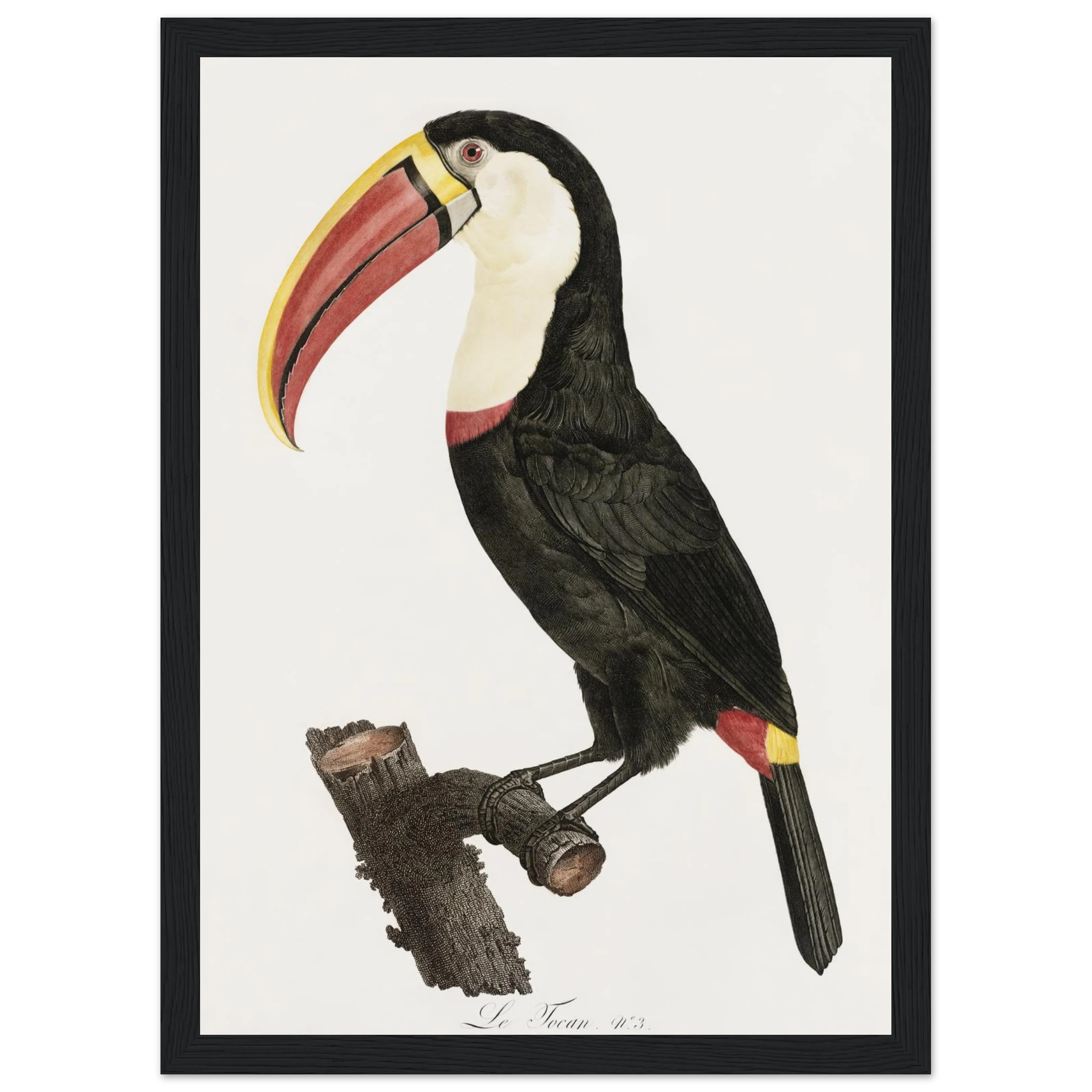 9ce01c8d-f852-45d7-95f9-4d0e4ff5be9b