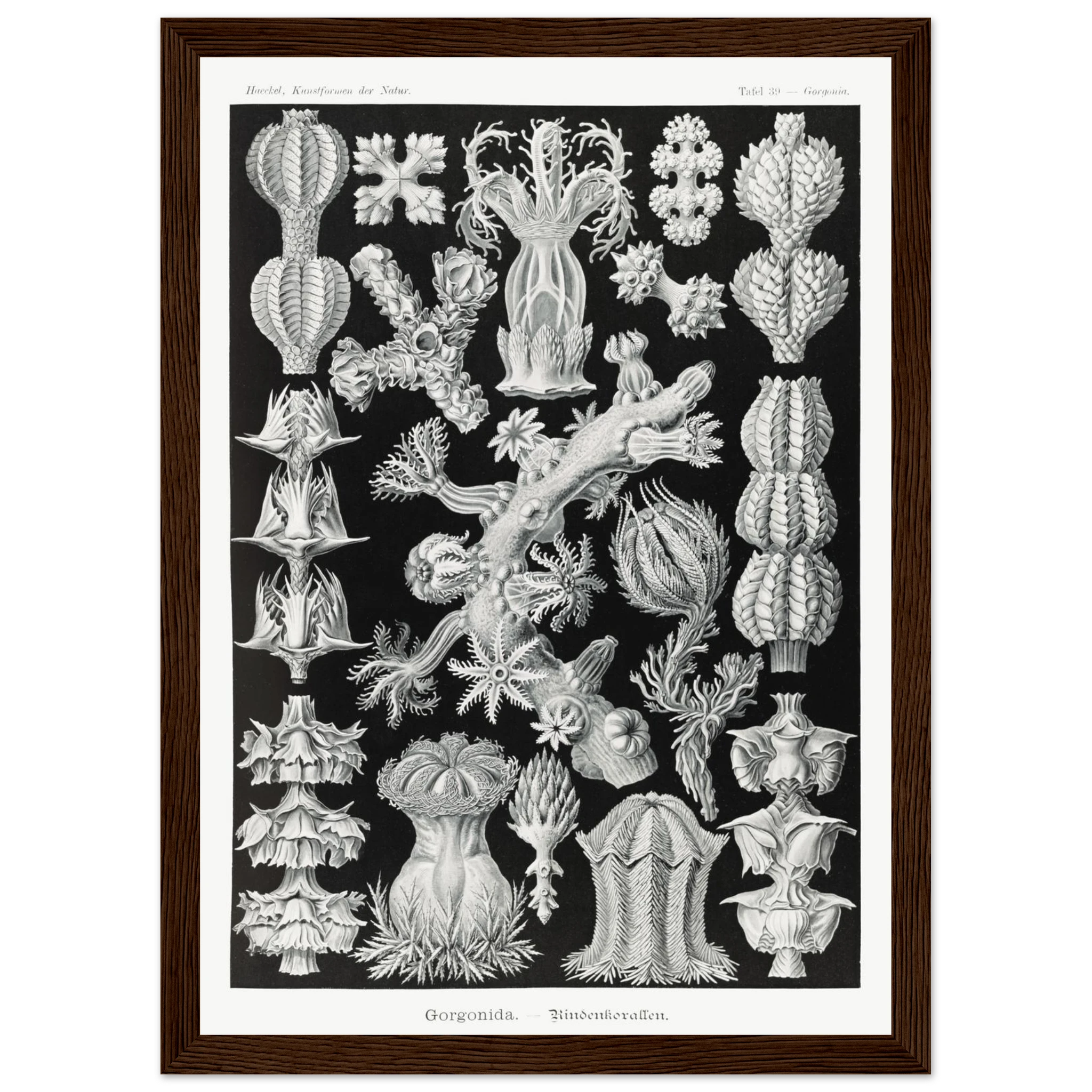 9d796a6a-f10c-4385-9edc-e068c17bc953