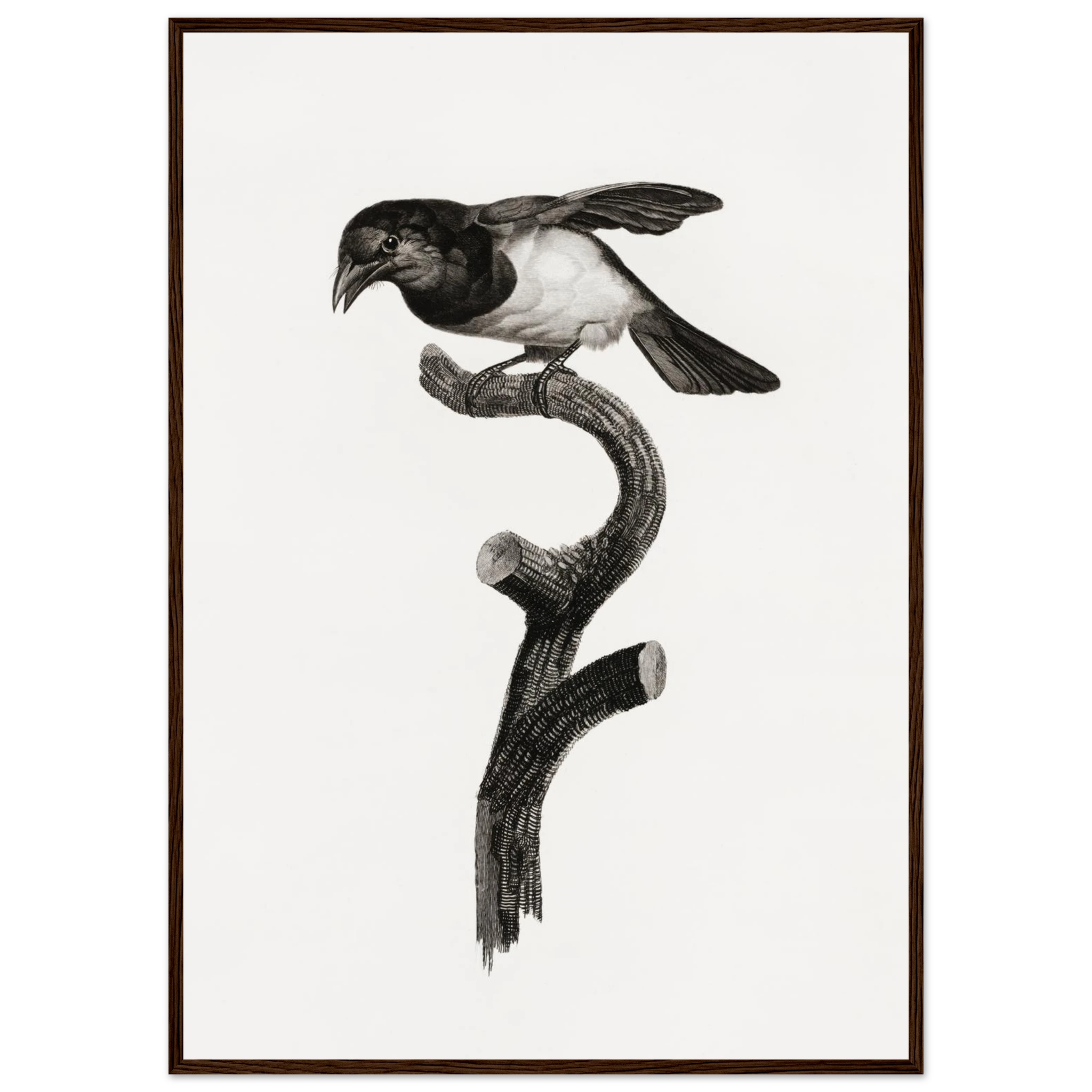 9dc81ba4-6504-462c-a943-0f9935388cc4