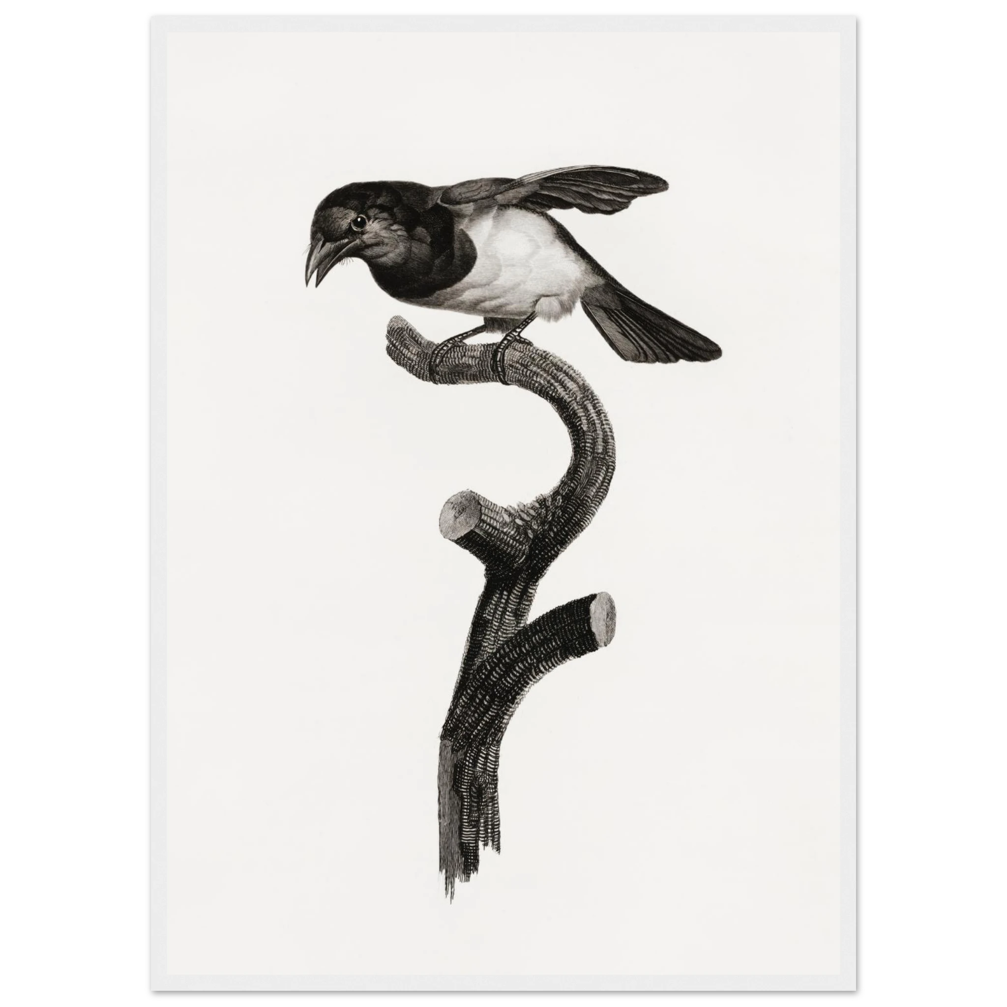 9e16ae29-c2e2-479a-9f32-028cf26d60b9