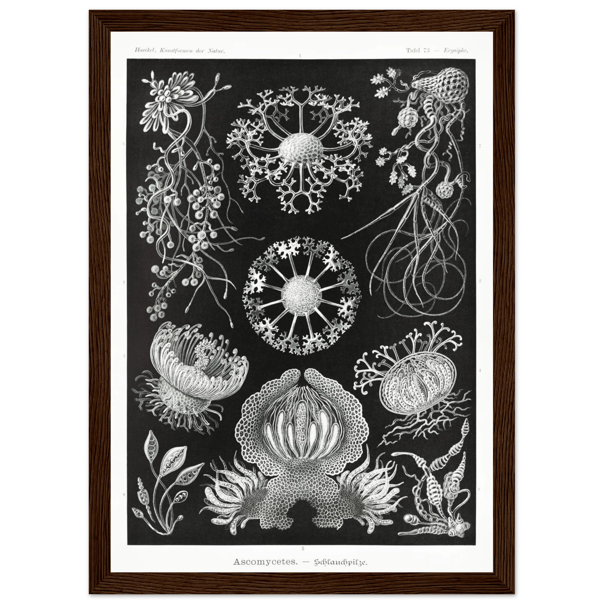 9e1fdfda-224e-4a01-9b49-ee424b892cc9