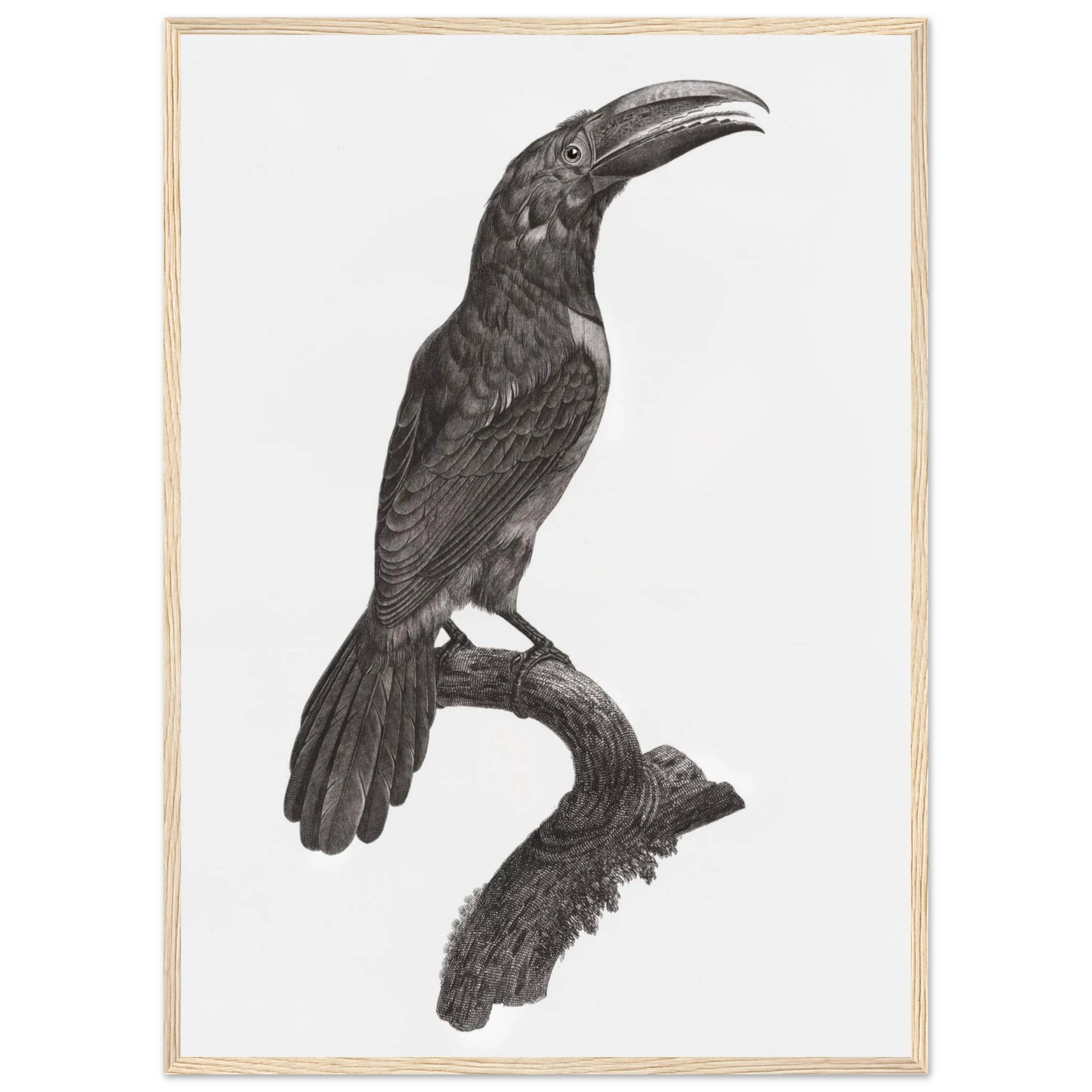 9e25a17a-1fd3-404a-850a-24a9bd9f3c84