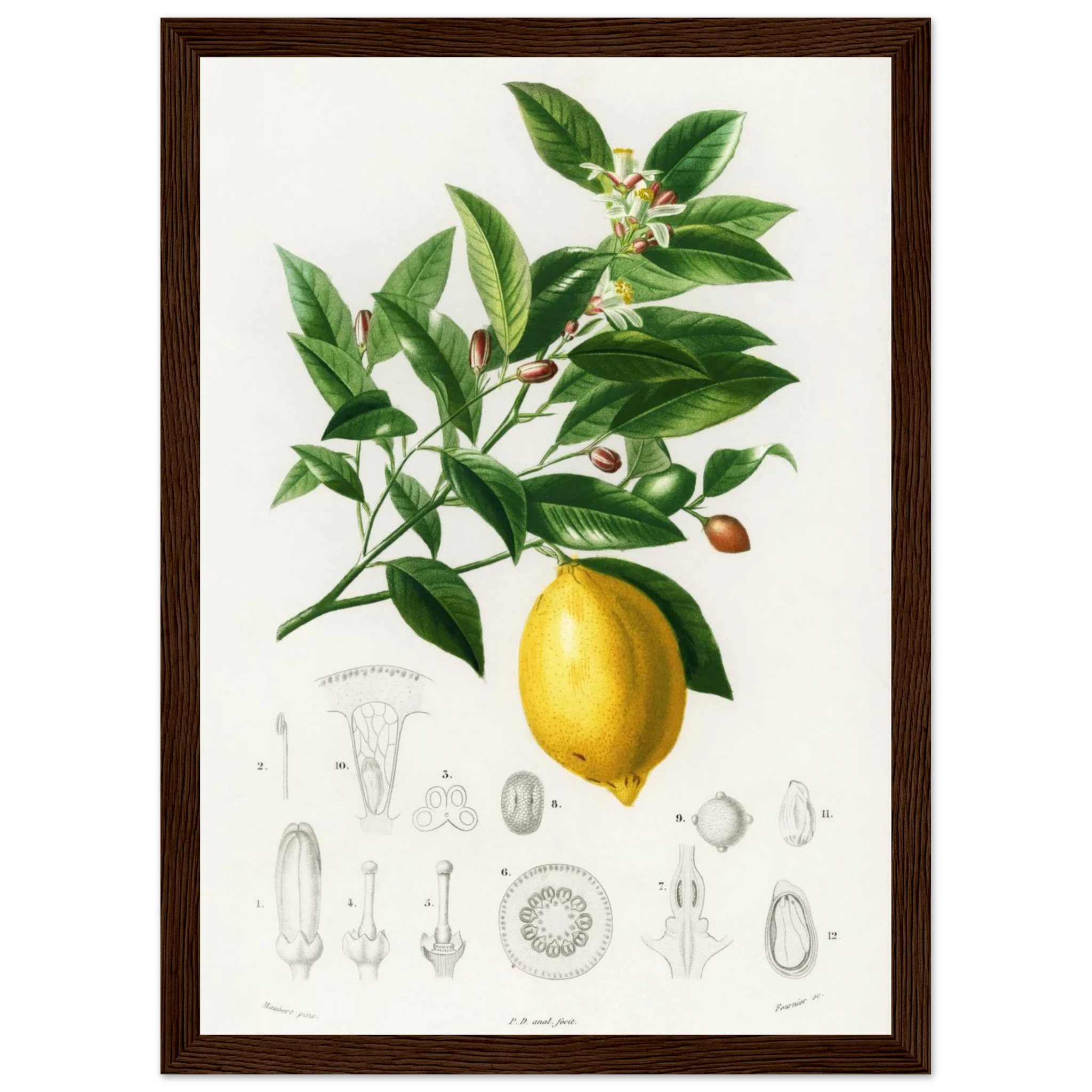 9e2de372-9b47-4bd1-95b6-bd9aa6c02417