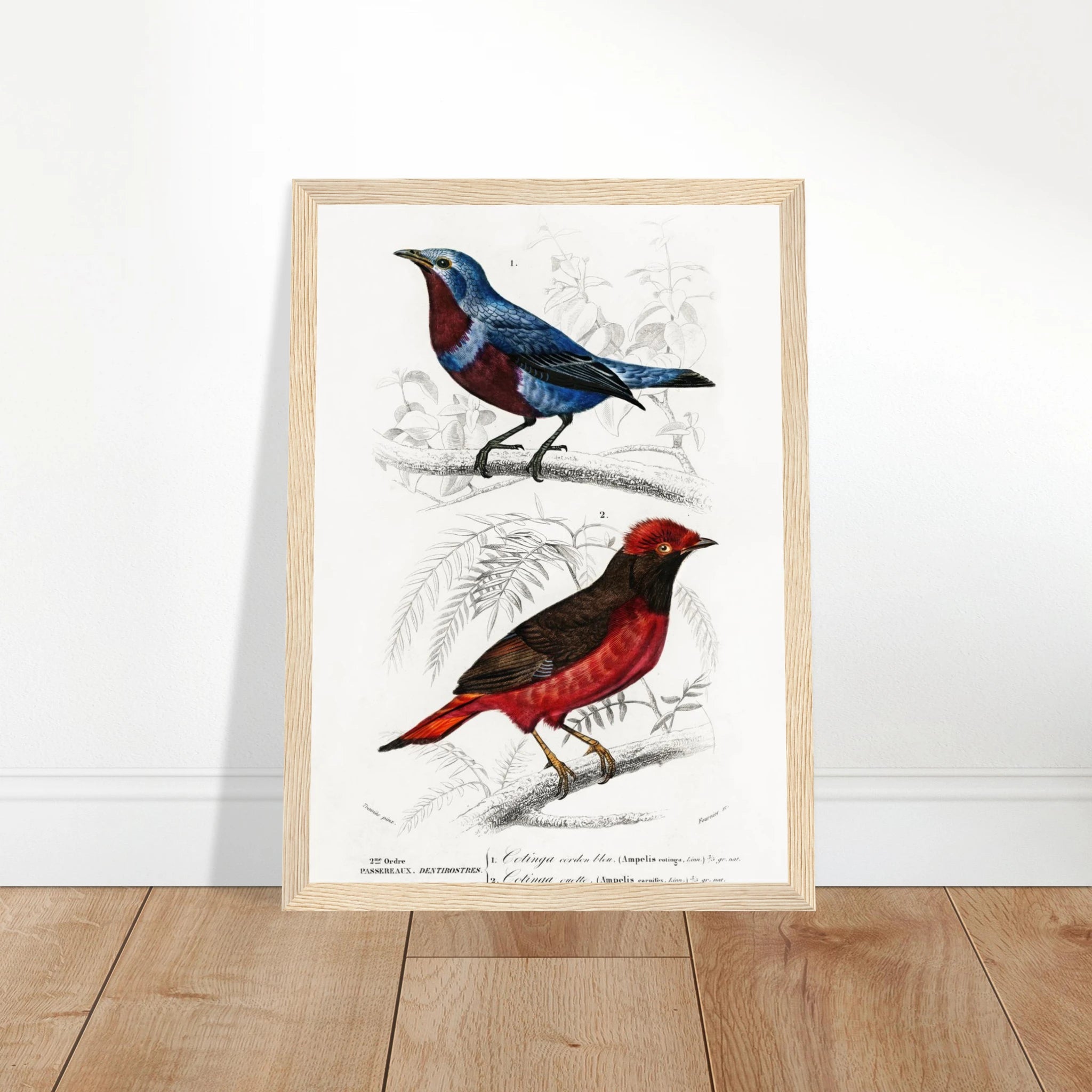 9e3167cd-bc72-4aee-95be-ed8d6473414b