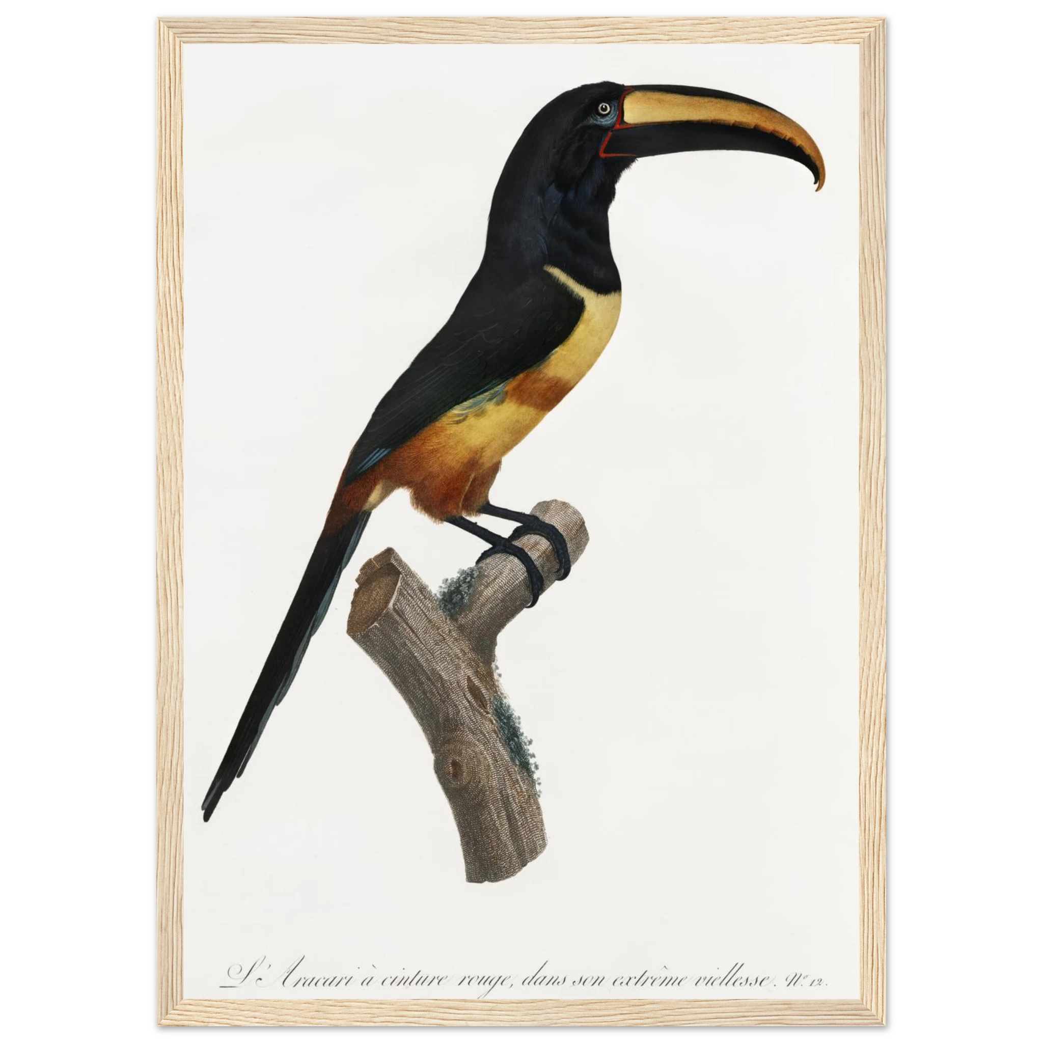 9e92bc5e-f3c8-4a31-80a6-41bbcdabcfab