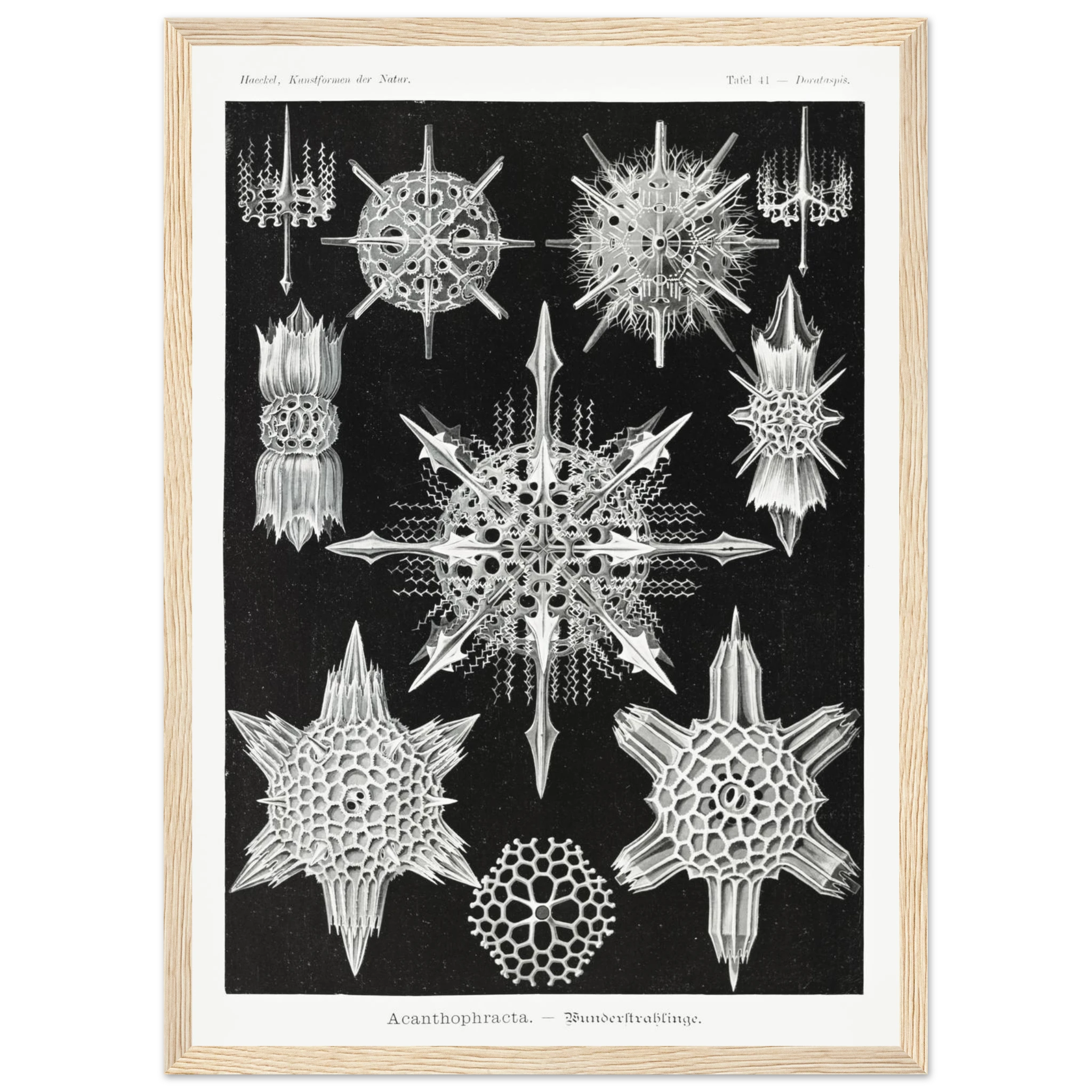 9e98012c-4ce7-413a-9a9f-a663a3adf2cd