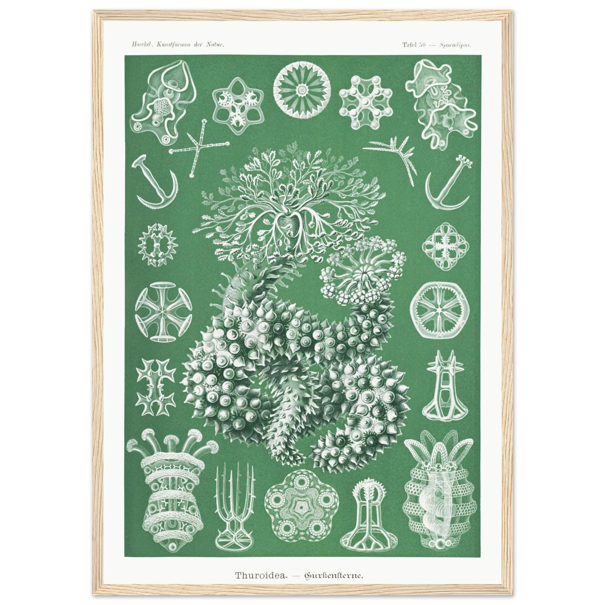 9ee50fa4-78e9-4dca-8a83-b62f48bb40fc