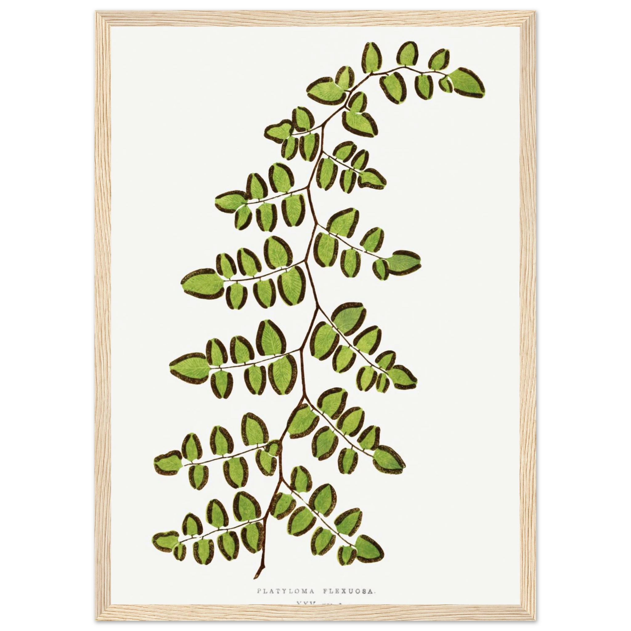 9eea67f2-70f6-4ae9-8e9a-c0ff6138db64