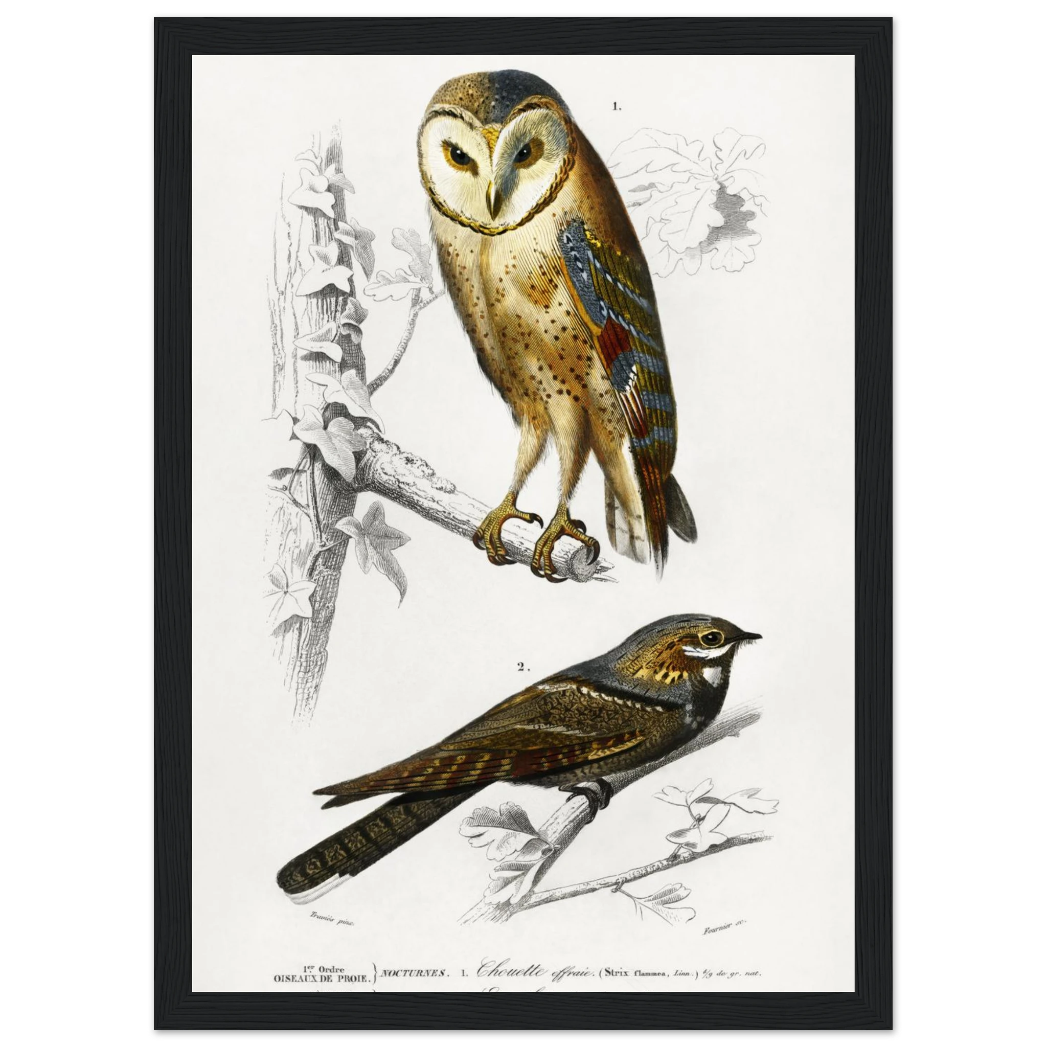 9f3cf699-4596-43a8-ae1b-efa4fb4a2f1a