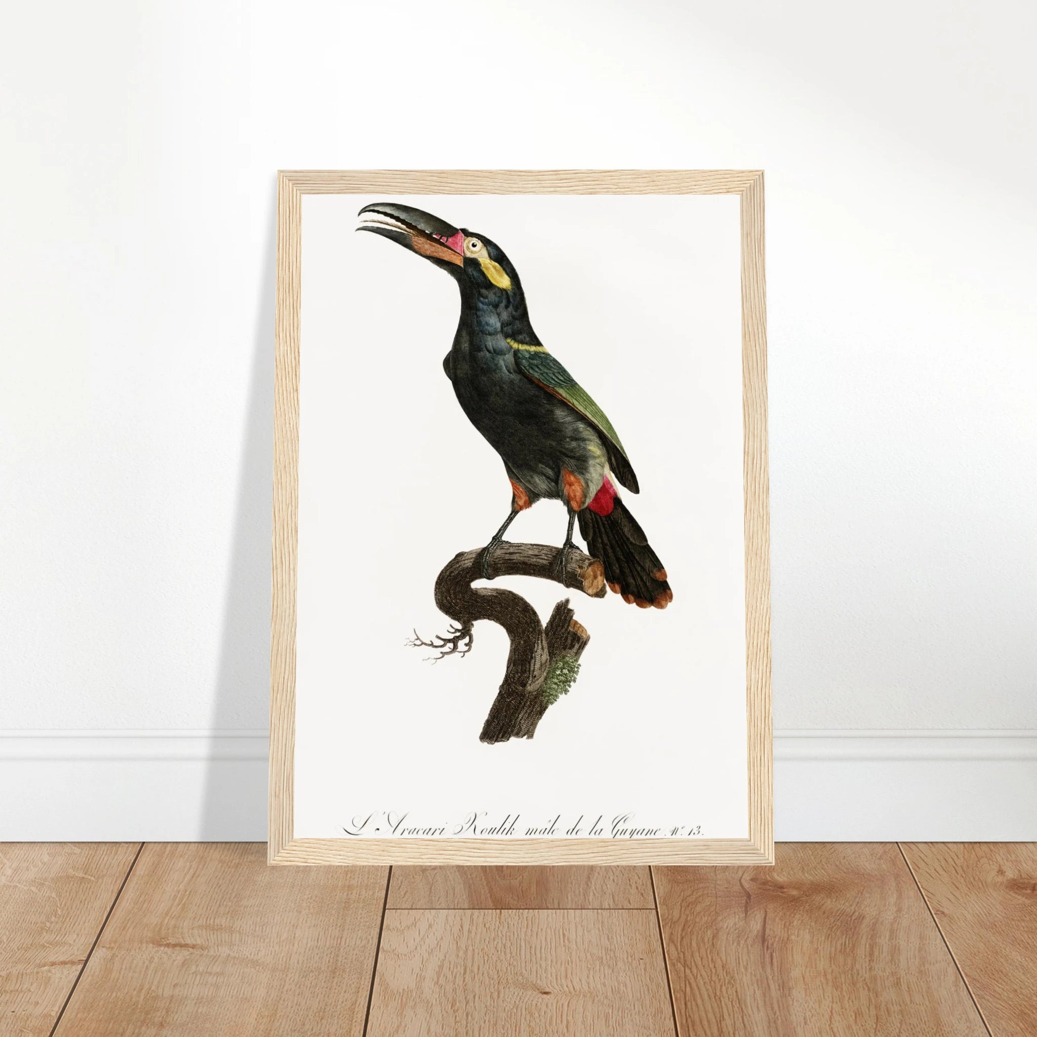 9f8506d6-08b4-4ee5-888e-cd26c1701846