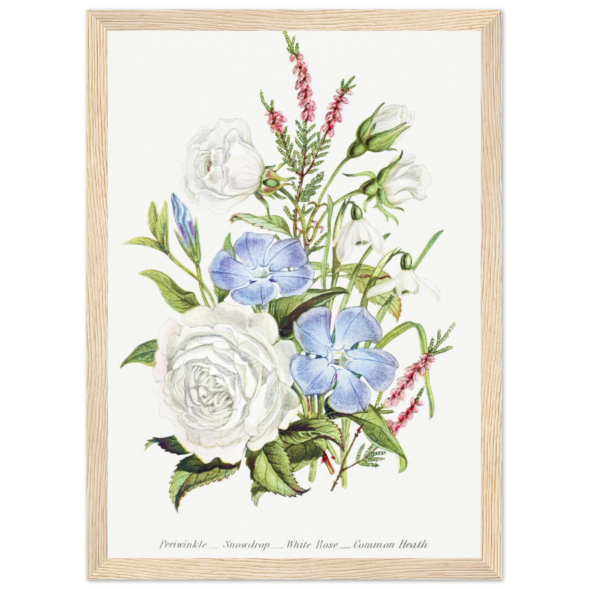 9f9bb294-2ae1-4cff-9c69-4ec2d9818ae2