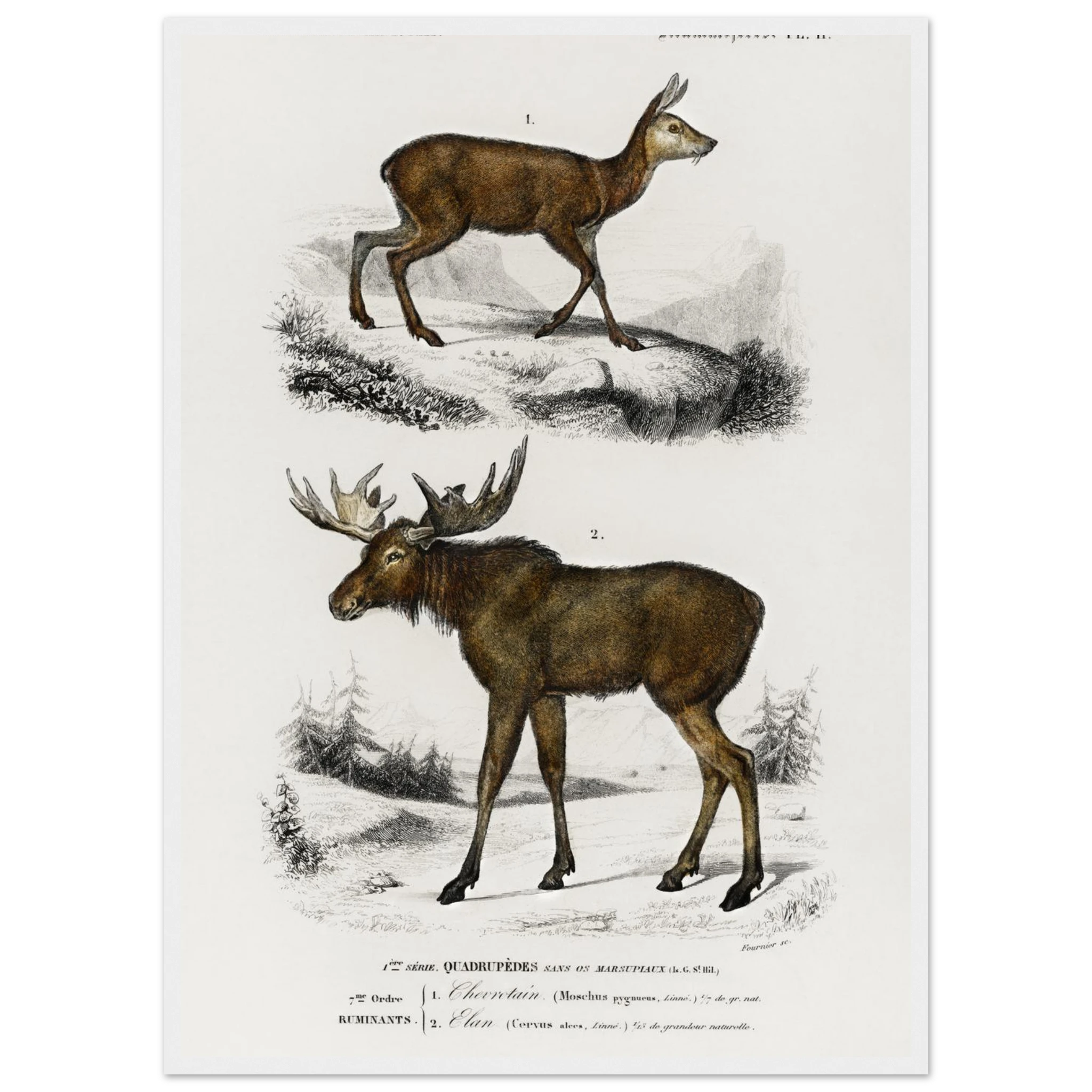 9fb9571b-40bd-42c2-91a9-256fe8804886