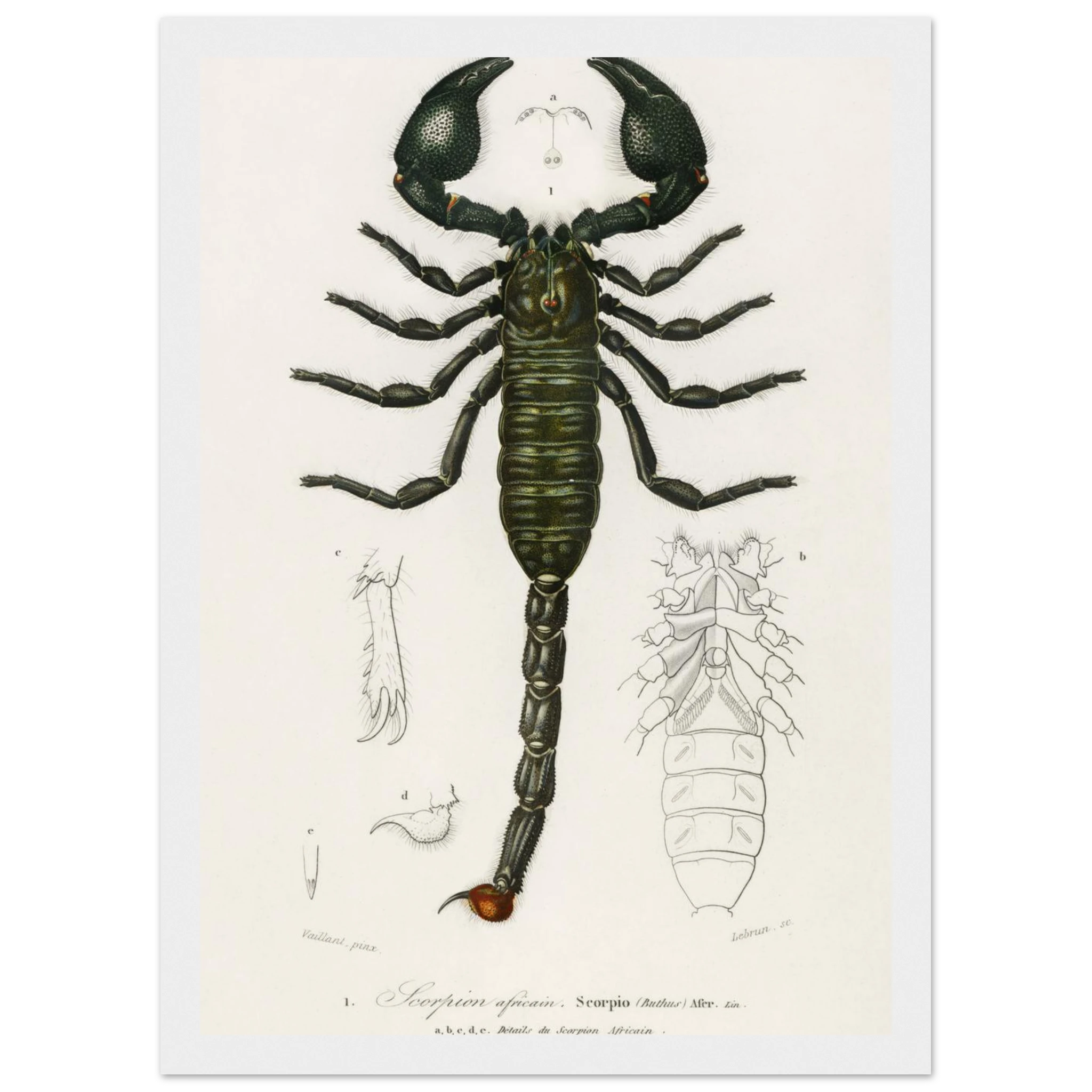 9fde2f94-b2ac-4b9b-b790-80719b0ce8b8