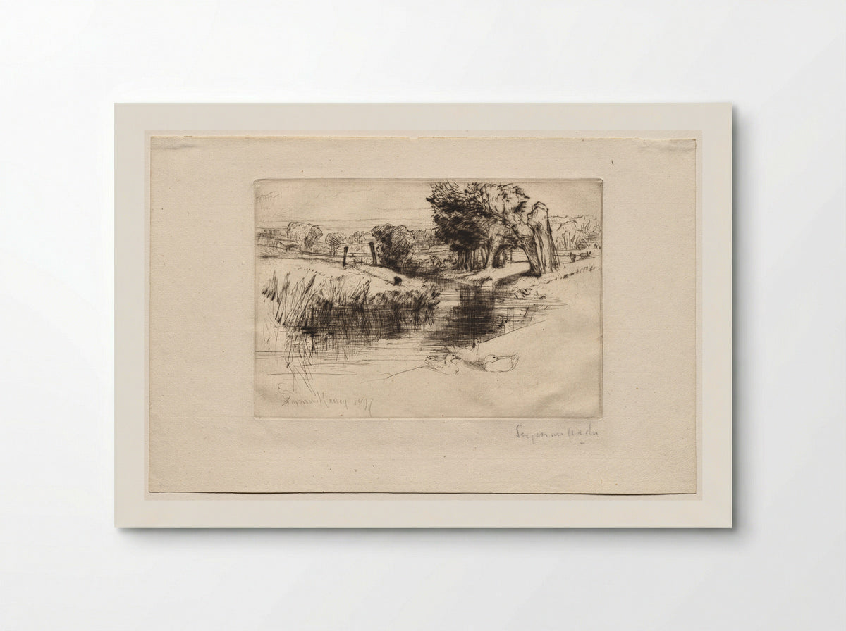 A Backwater - Francis Seymour Haden - Poster