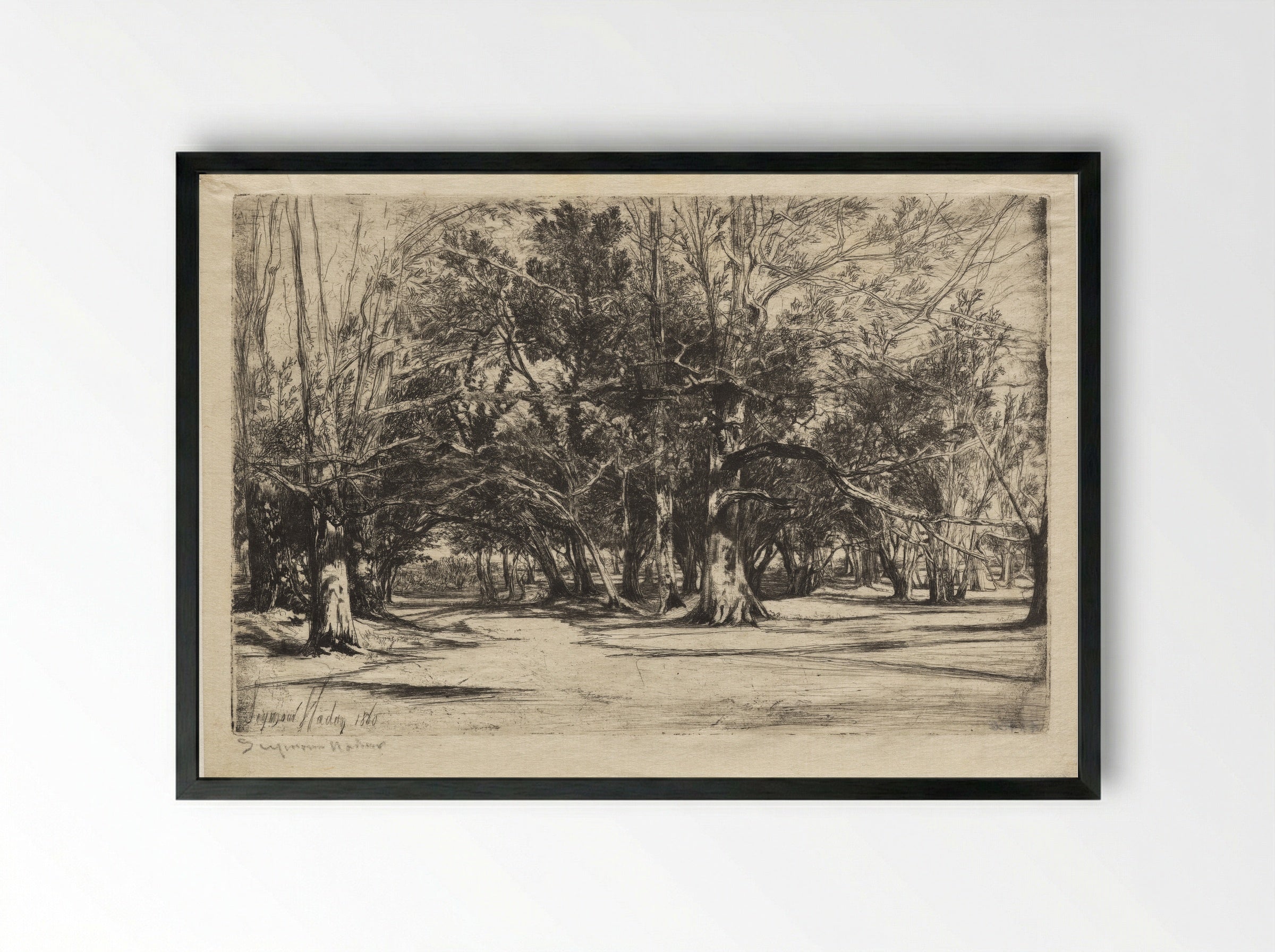 A By-Road in Tipperary - Francis Seymour Haden - Framed Print Black