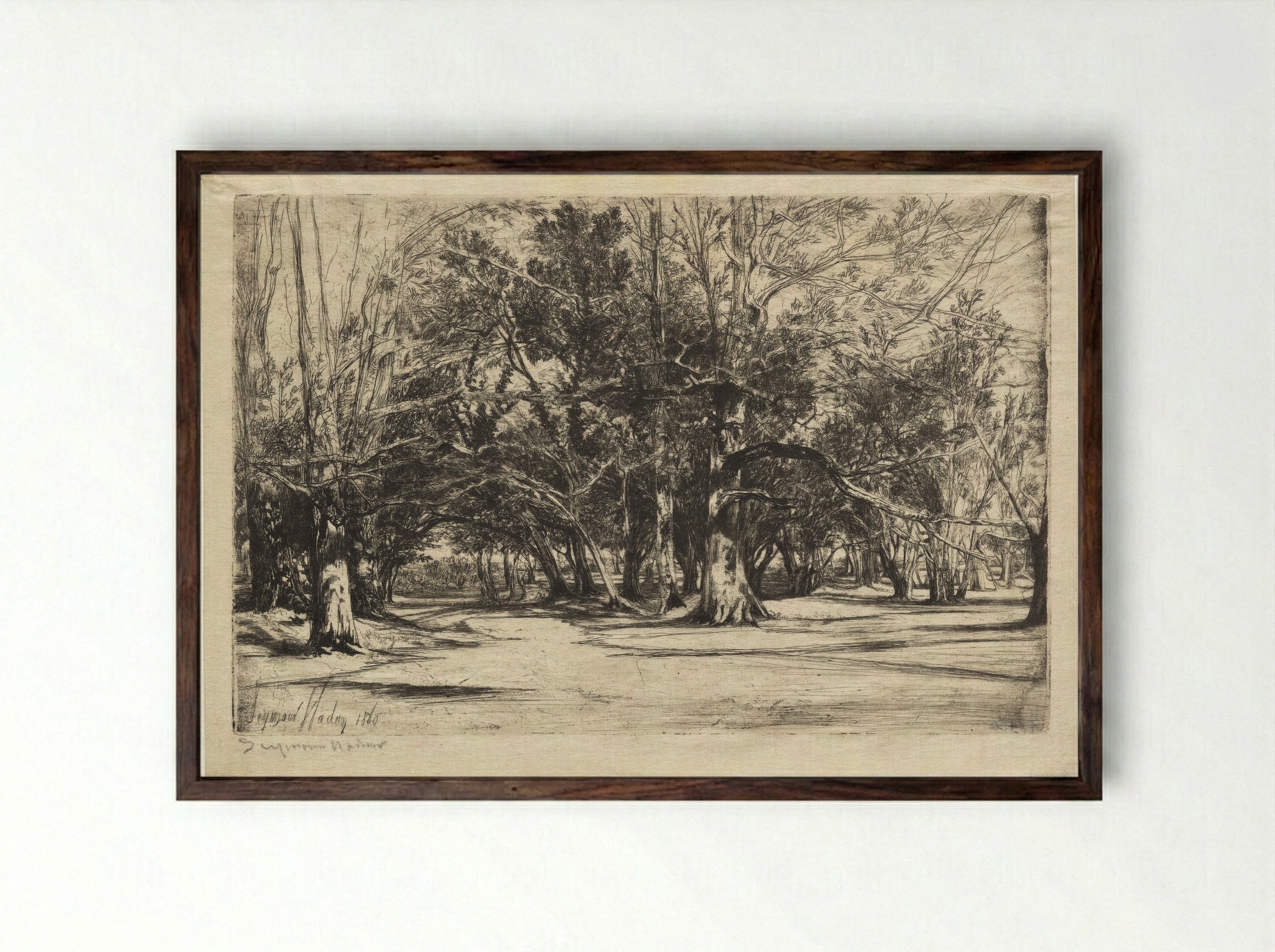 A By-Road in Tipperary - Francis Seymour Haden - Framed Print Dark Wood