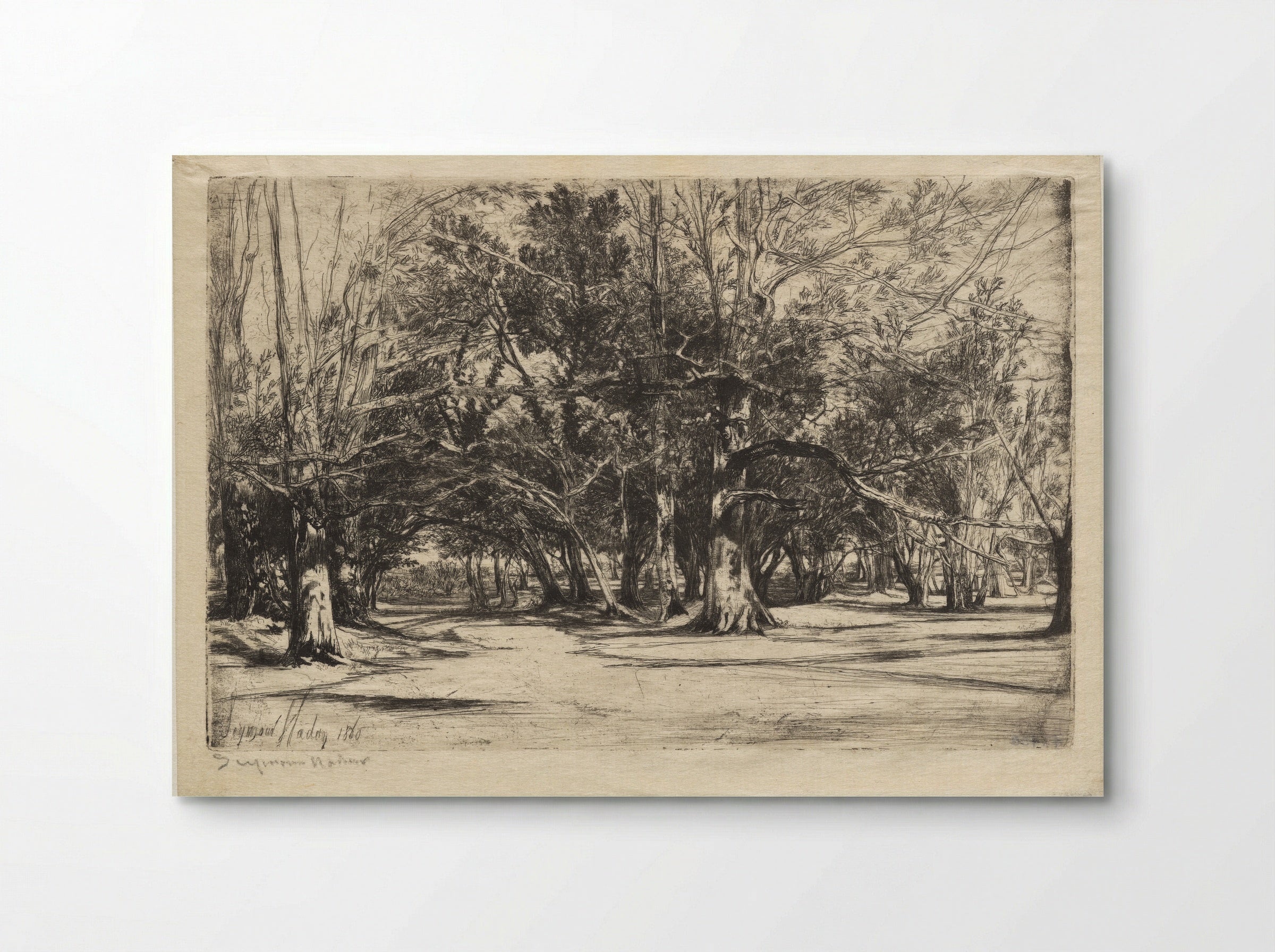 A By-Road in Tipperary - Francis Seymour Haden - Poster